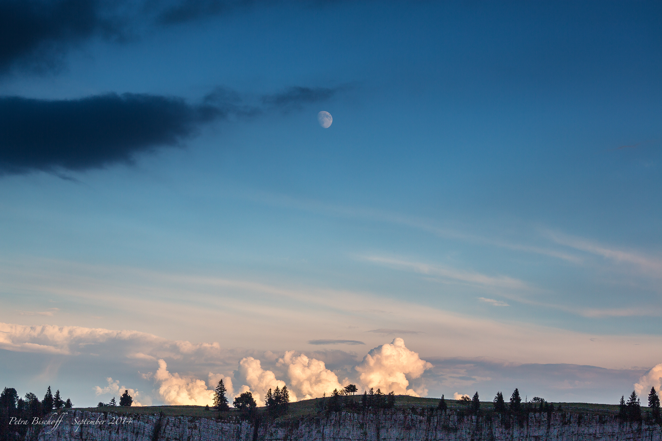 &copy; Petra Bischoff