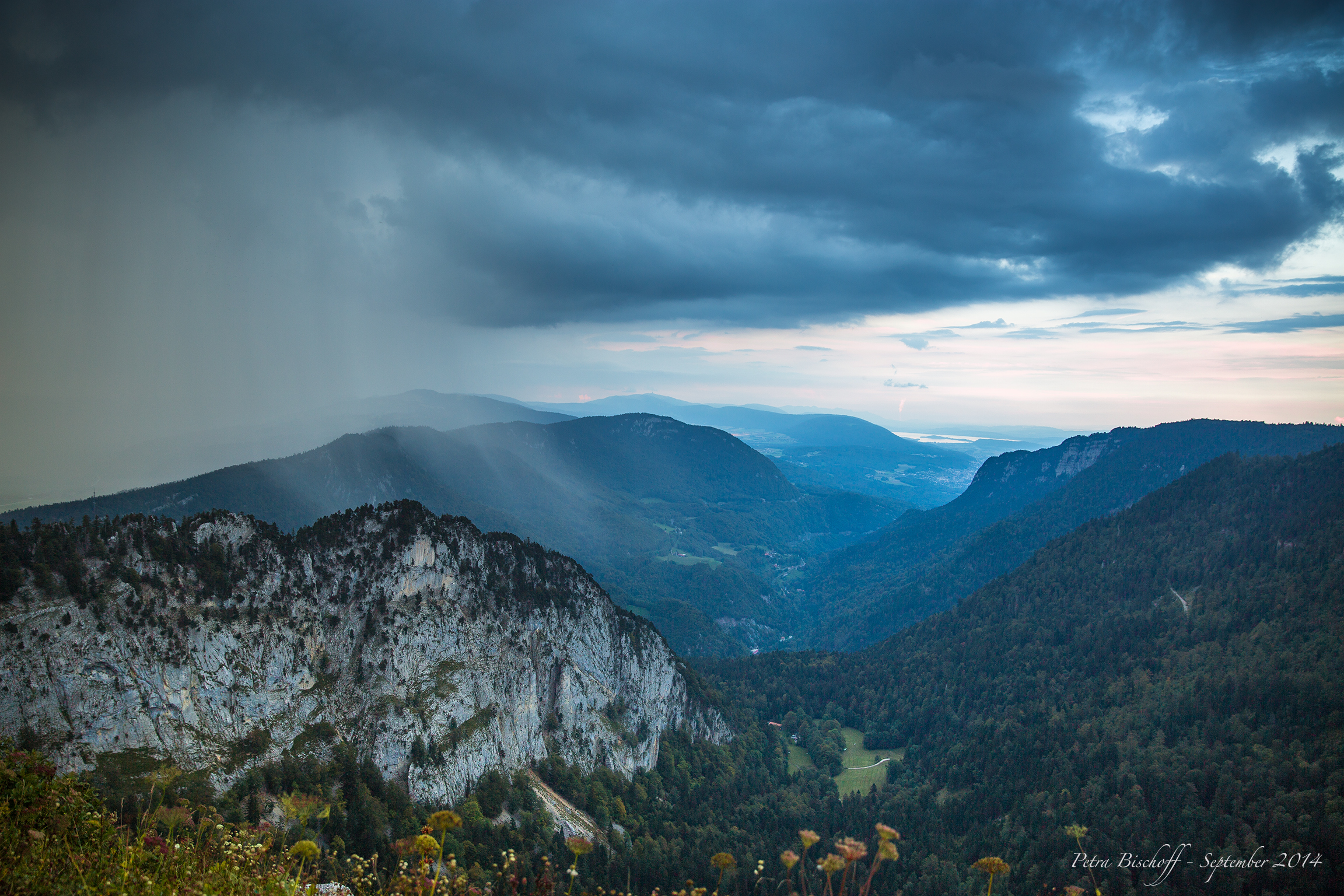 &copy; Petra Bischoff