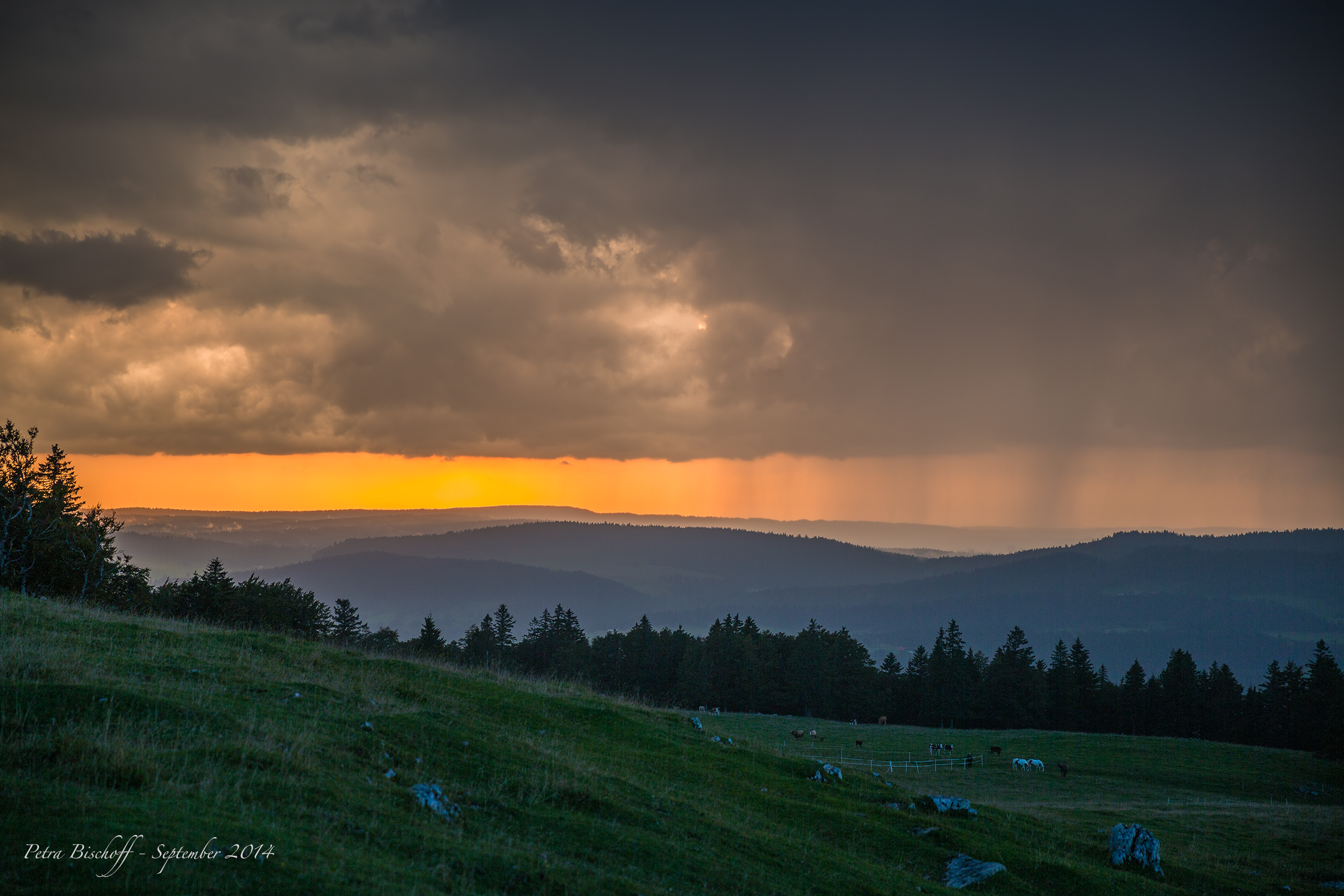 &copy; Petra Bischoff