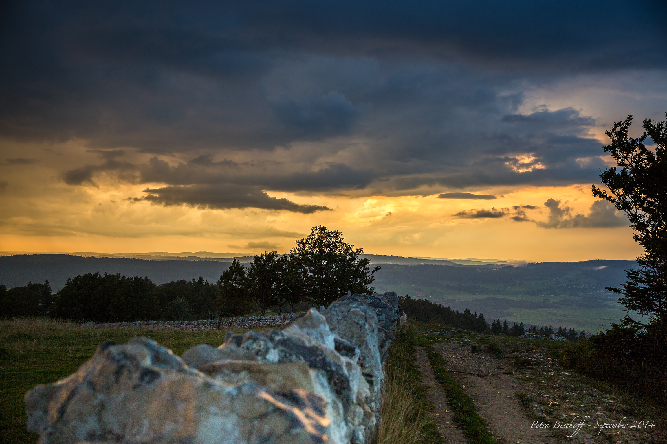 &copy; Petra Bischoff