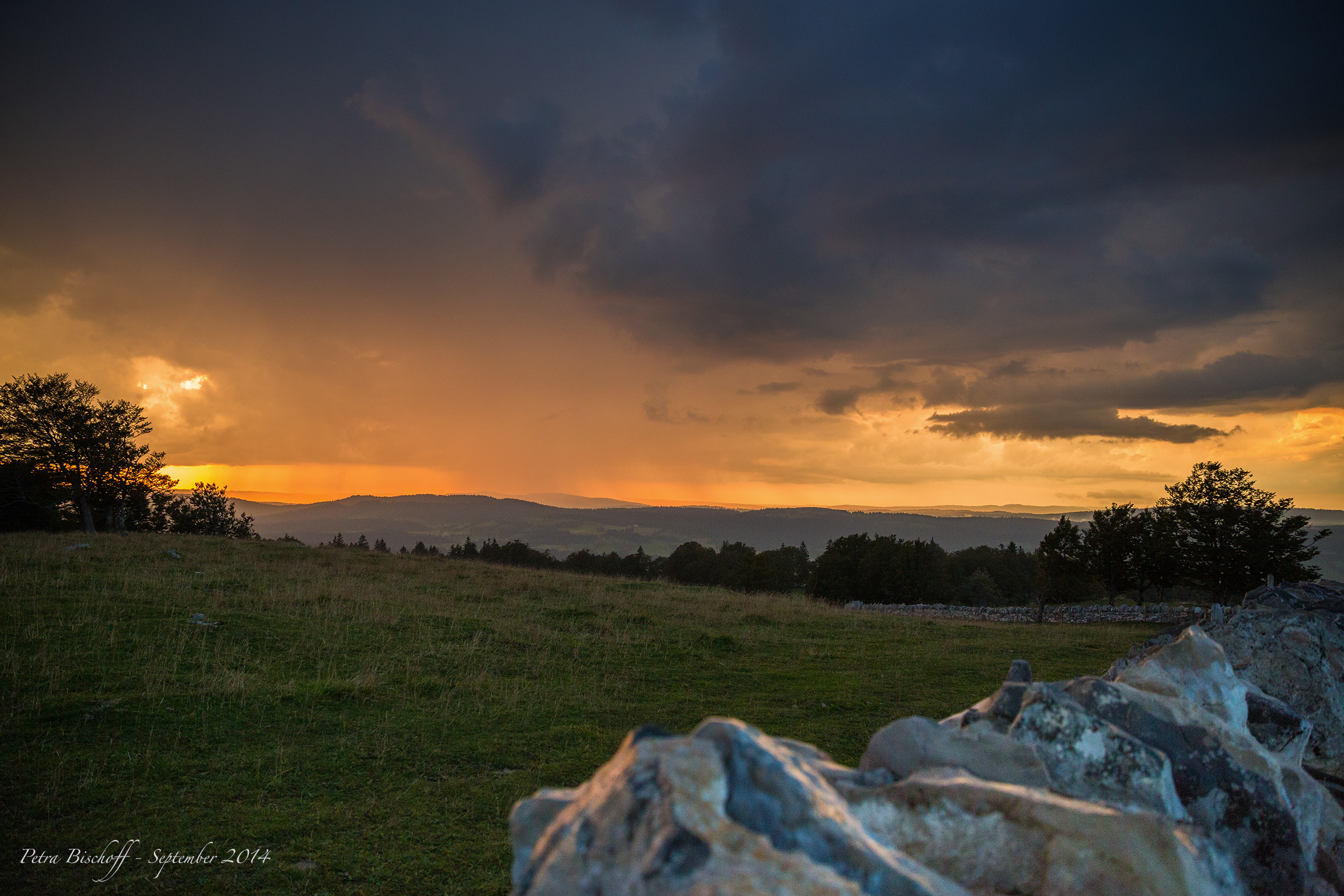 &copy; Petra Bischoff