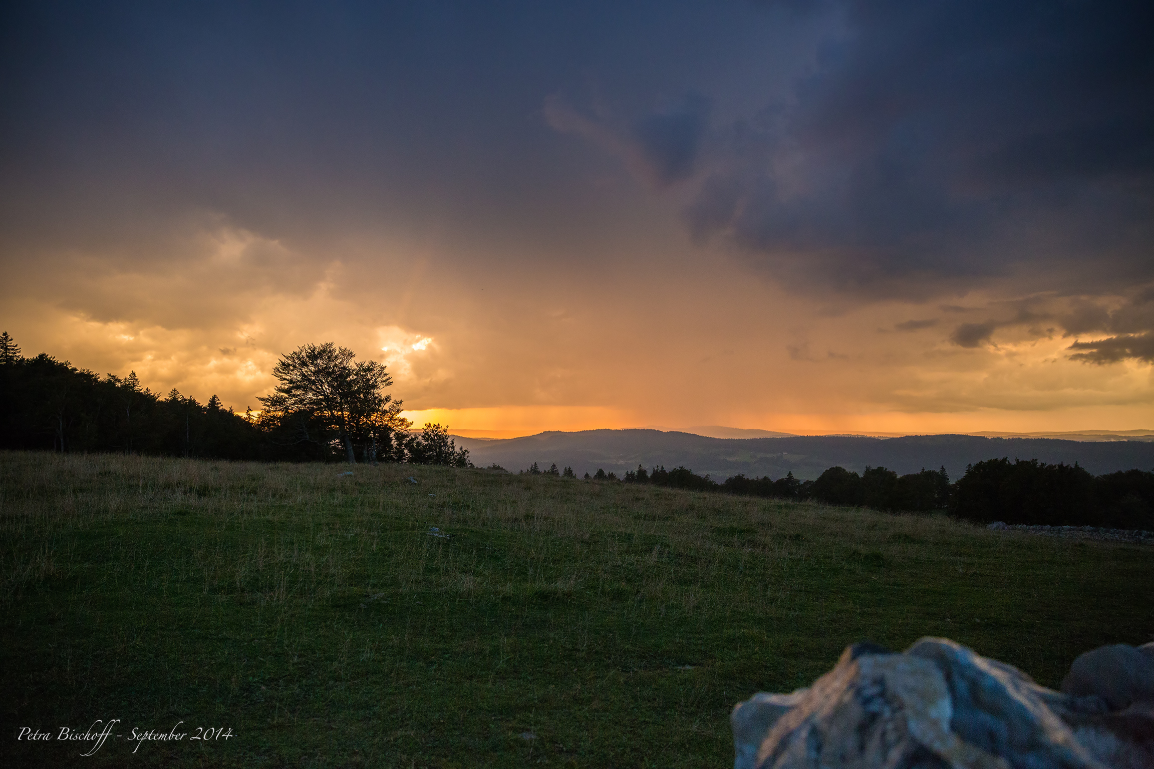 &copy; Petra Bischoff