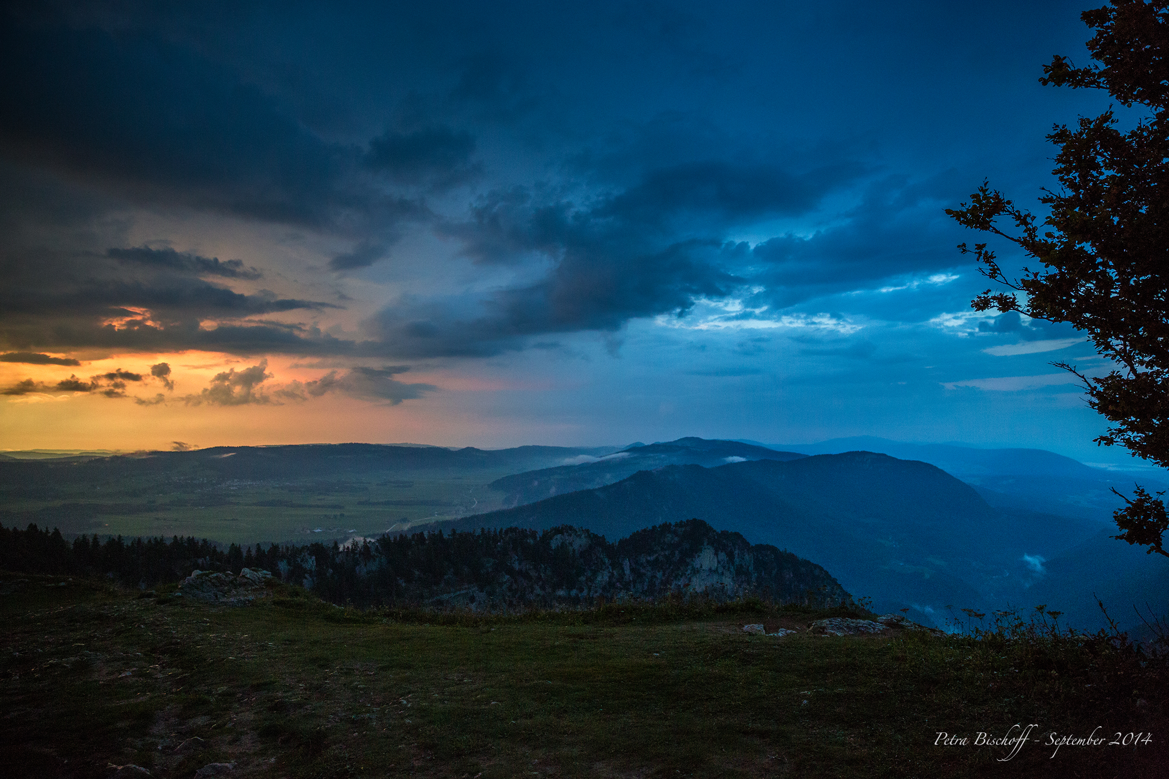 &copy; Petra Bischoff