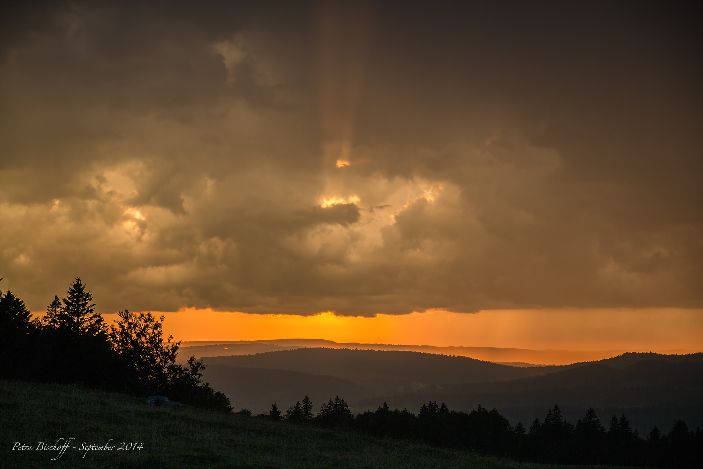 &copy; Petra Bischoff