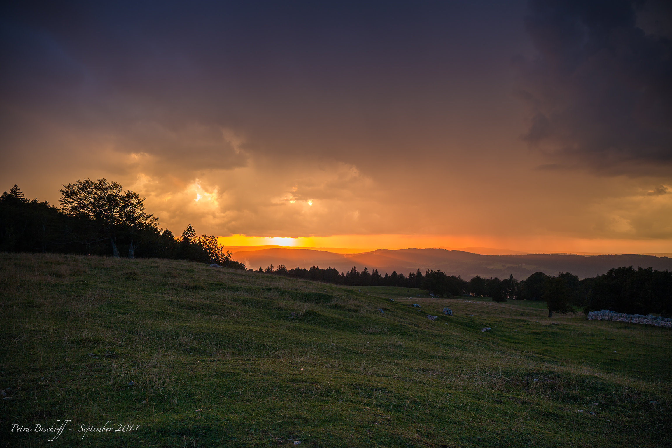 &copy; Petra Bischoff