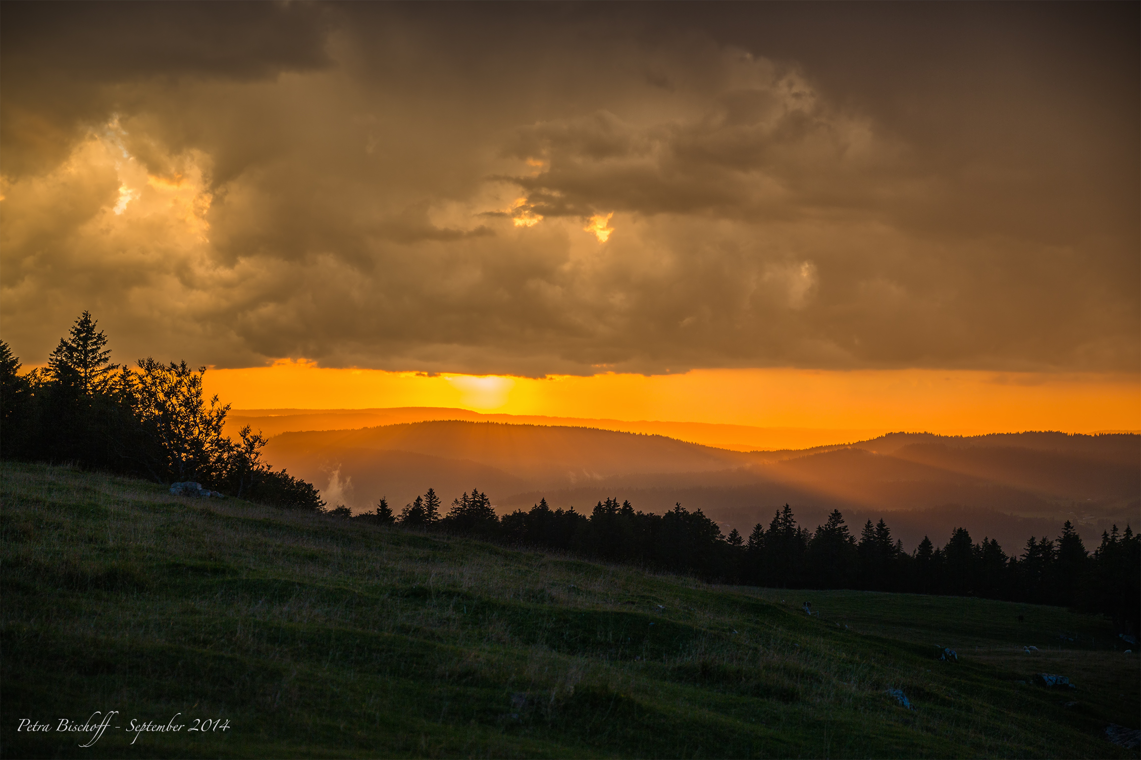 &copy; Petra Bischoff