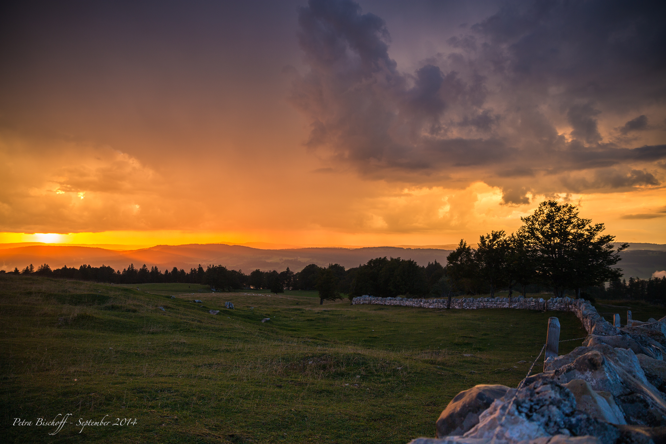 &copy; Petra Bischoff