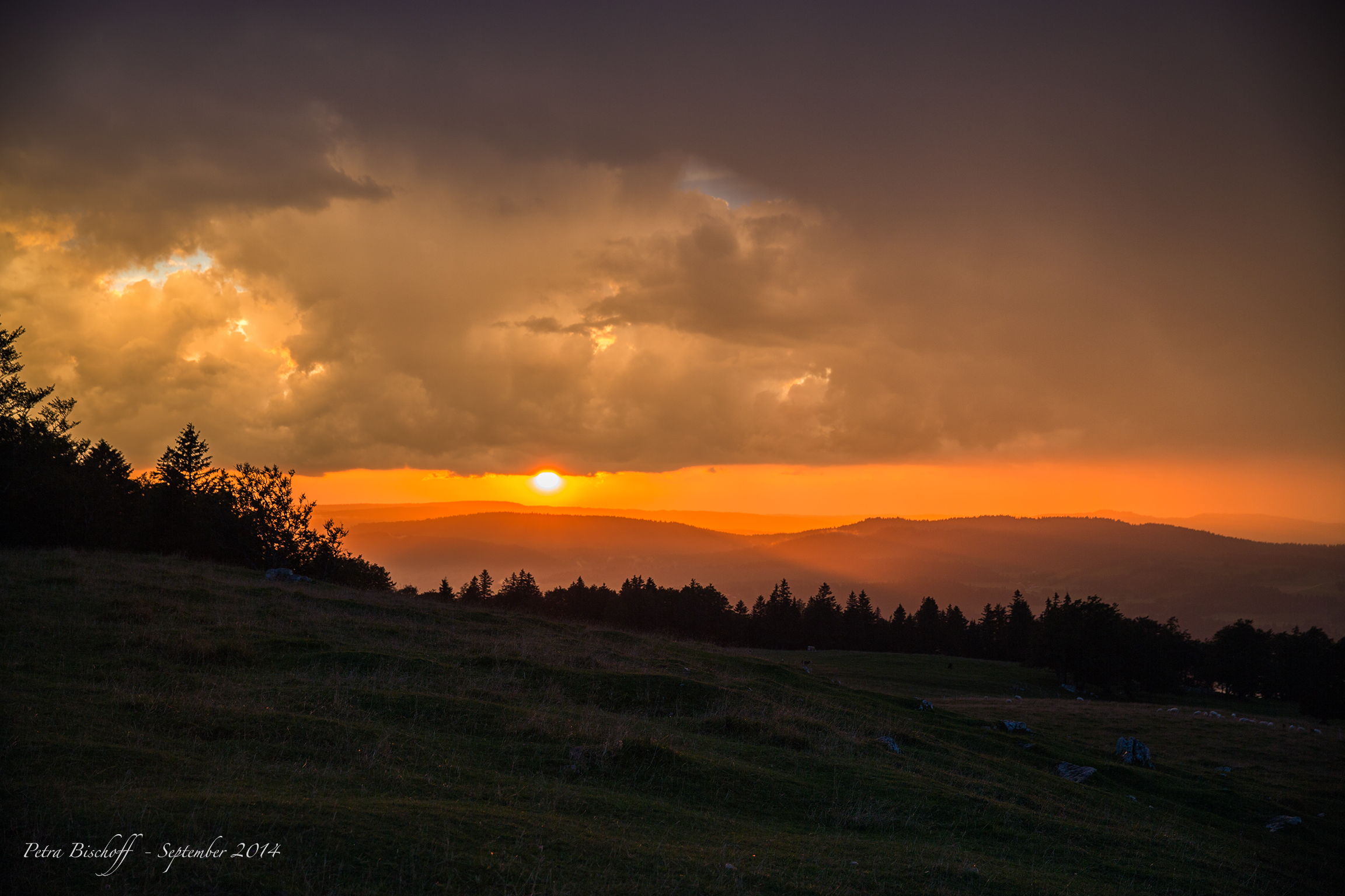 &copy; Petra Bischoff