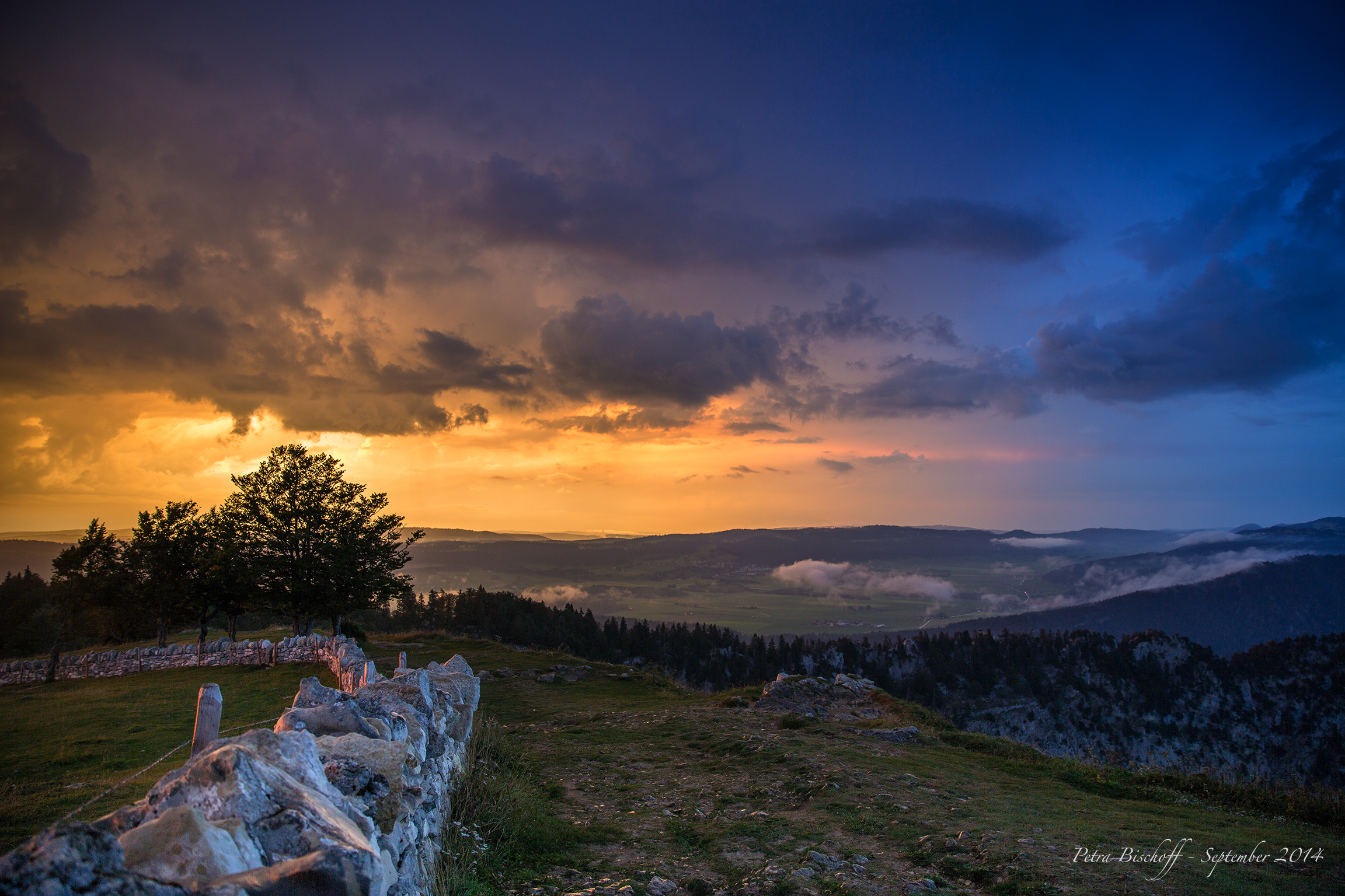 &copy; Petra Bischoff