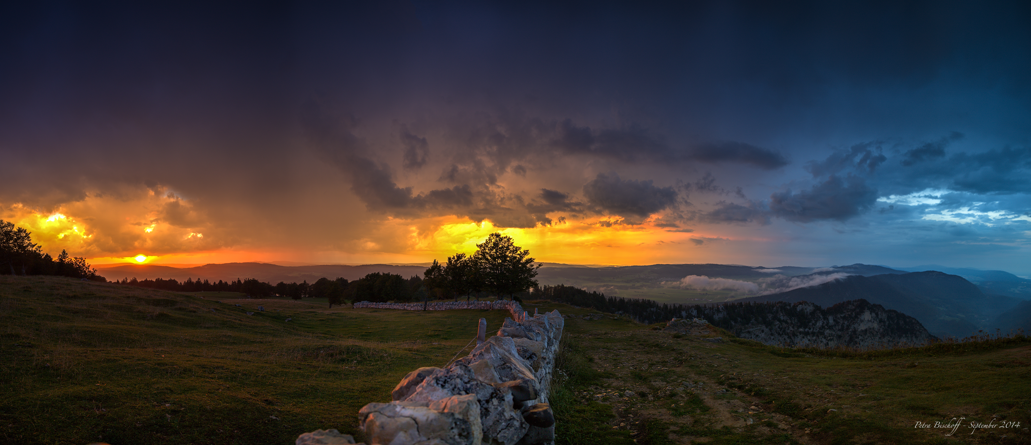 &copy; Petra Bischoff