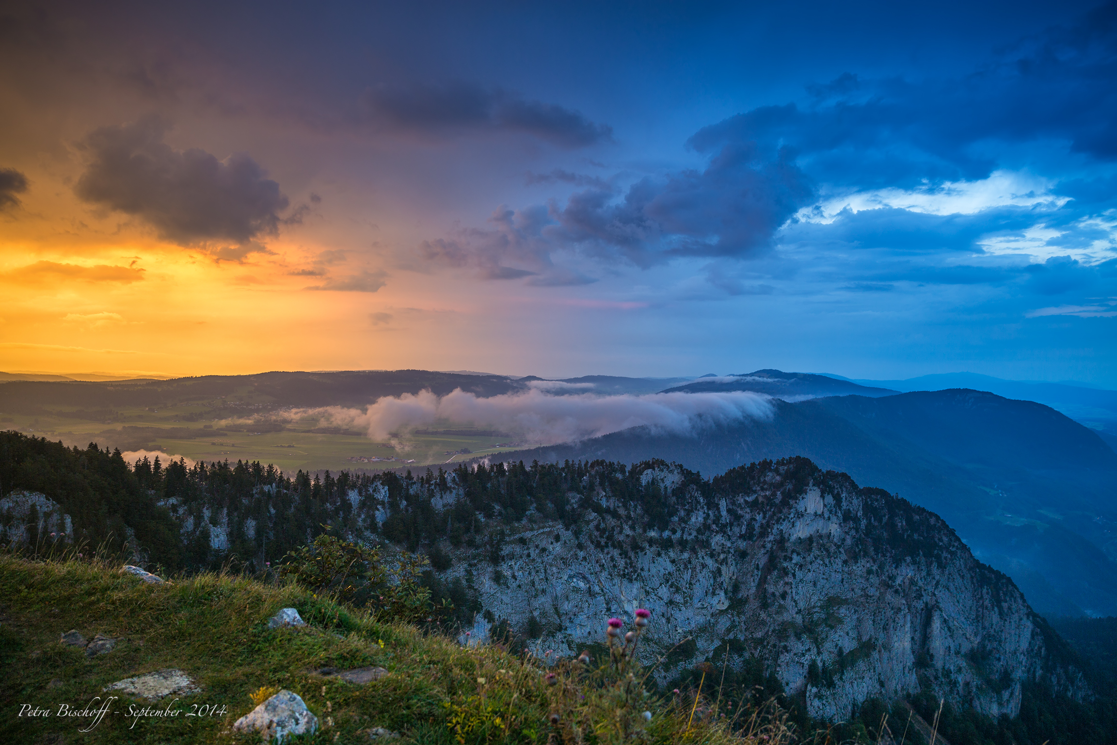 &copy; Petra Bischoff