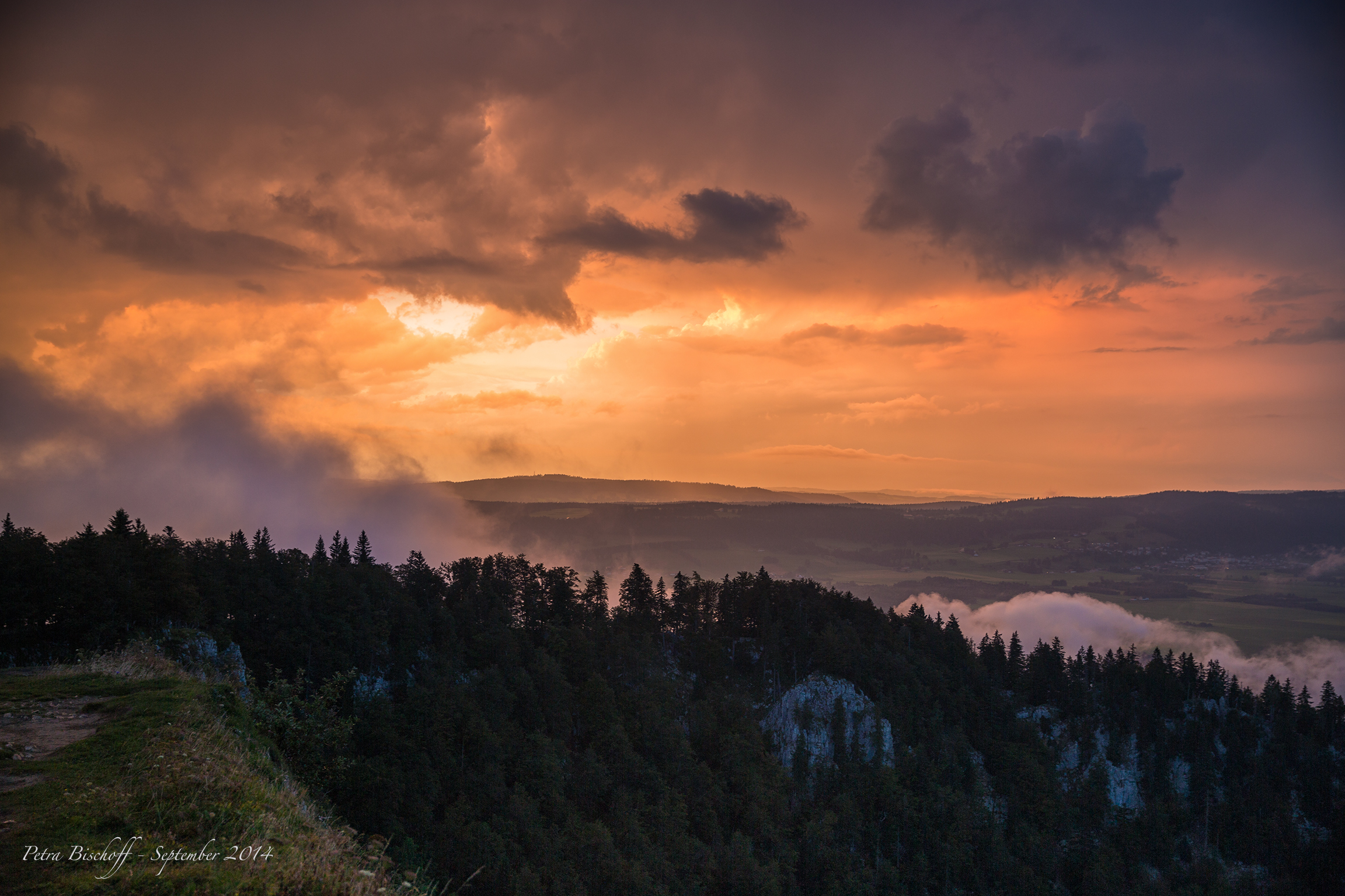 &copy; Petra Bischoff