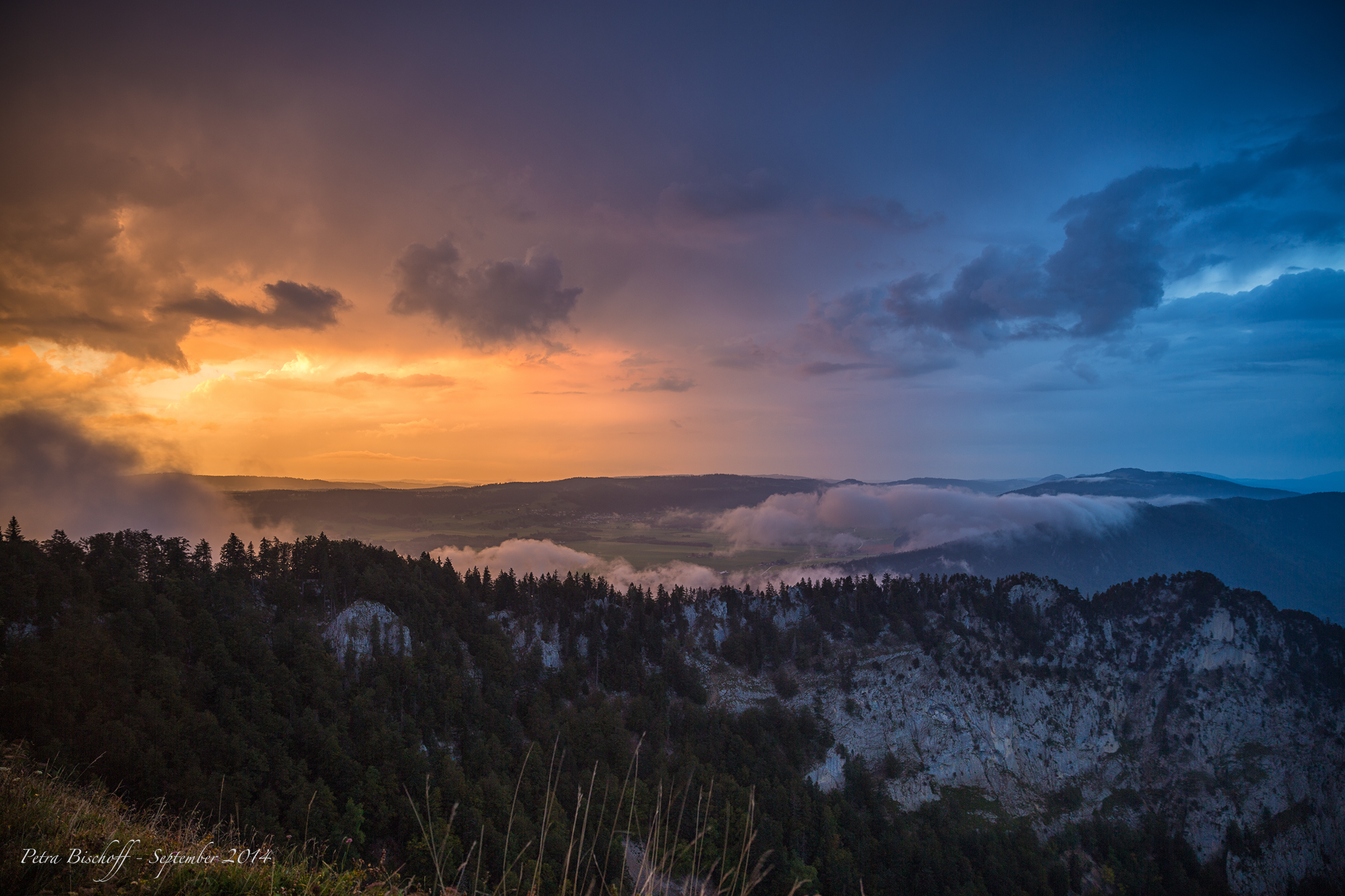 &copy; Petra Bischoff