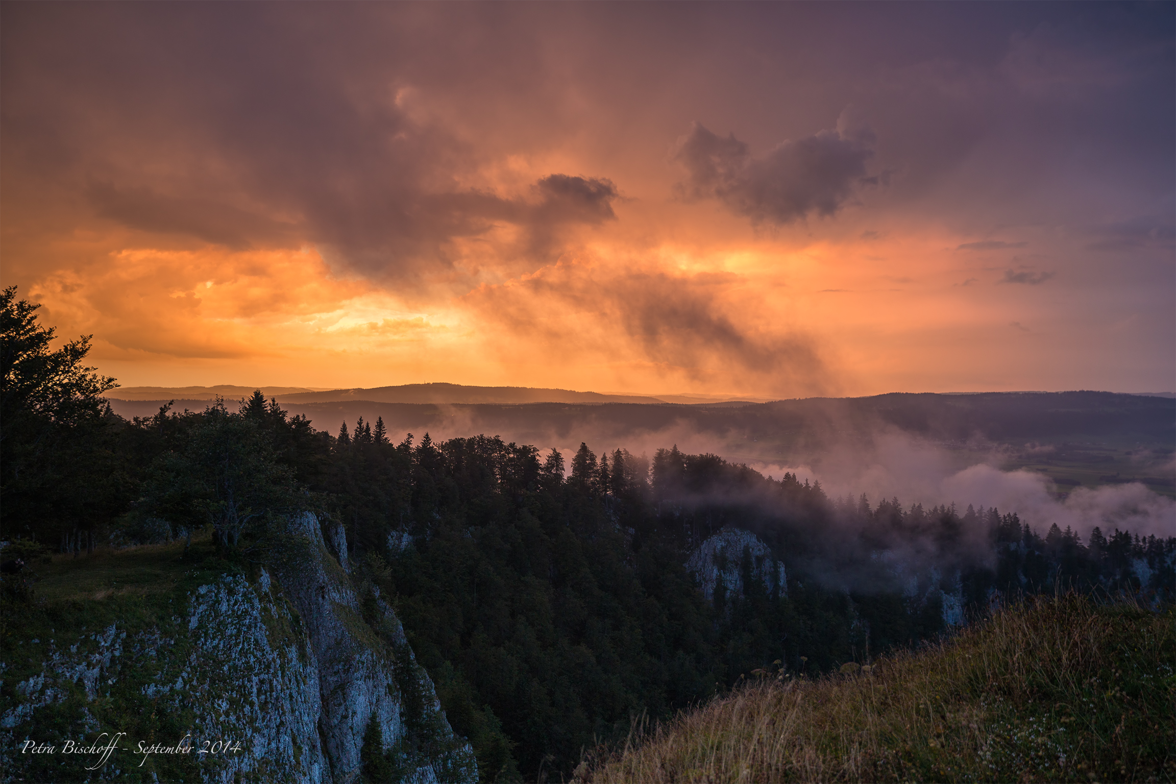 &copy; Petra Bischoff