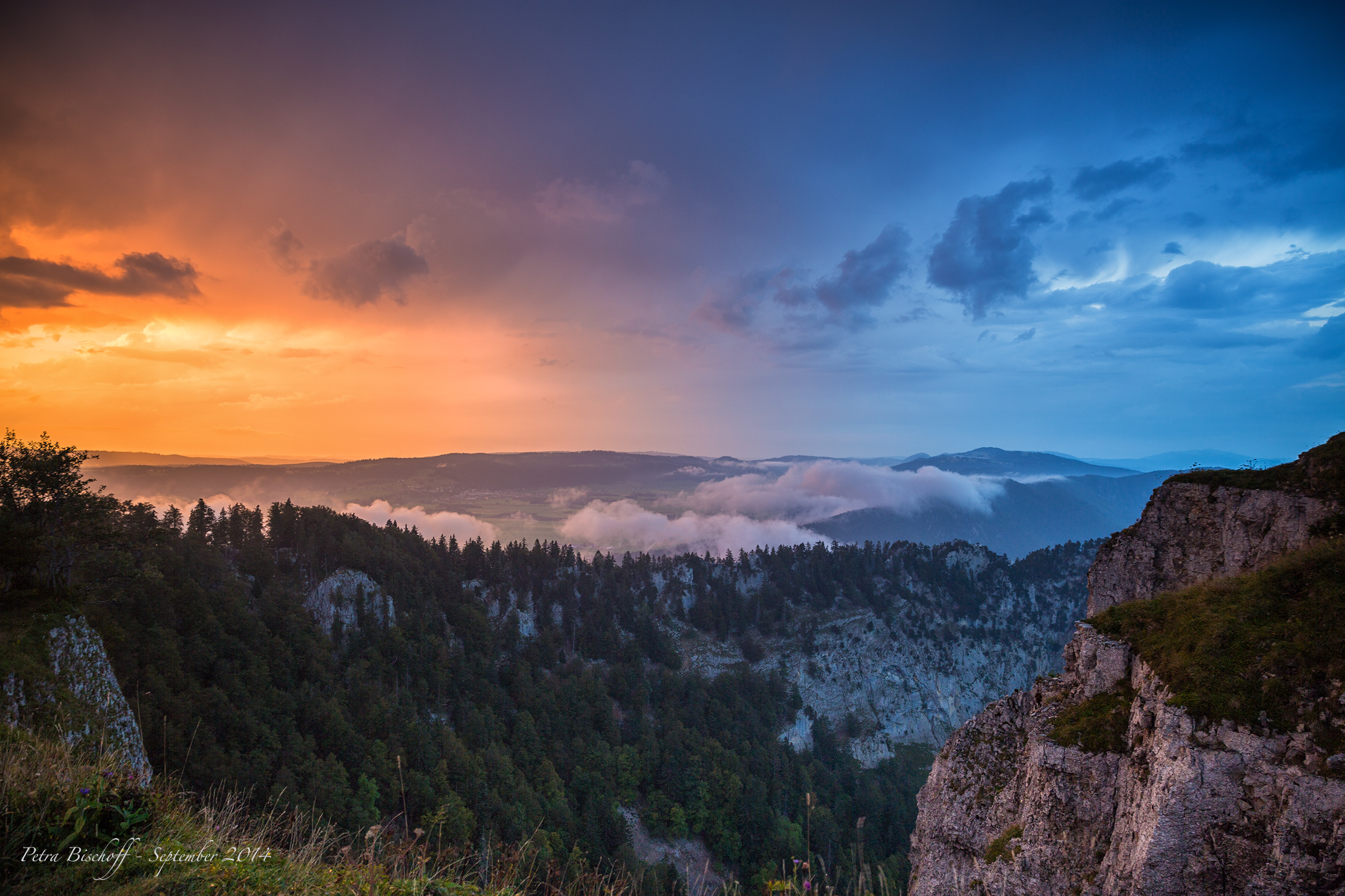 &copy; Petra Bischoff