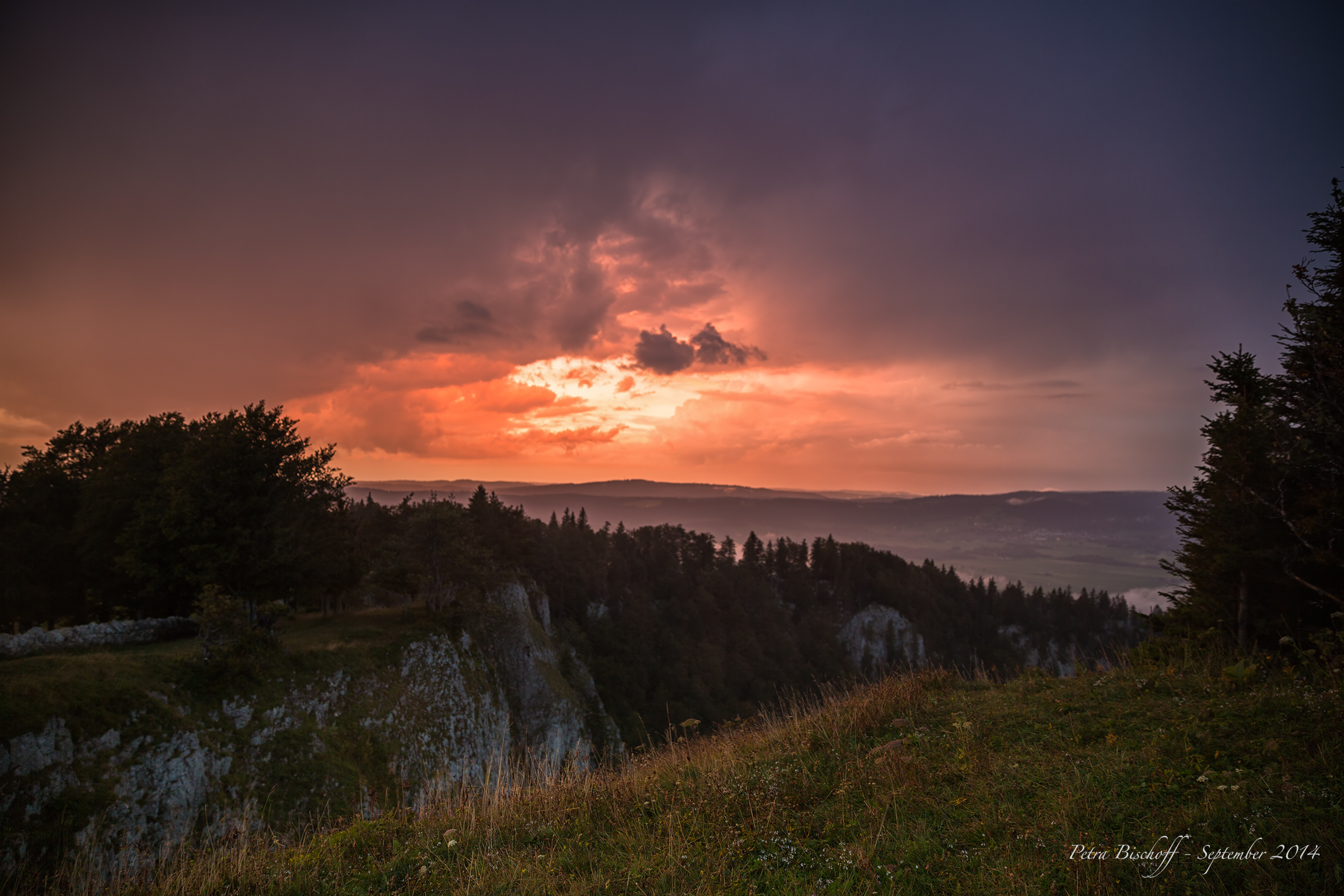 &copy; Petra Bischoff