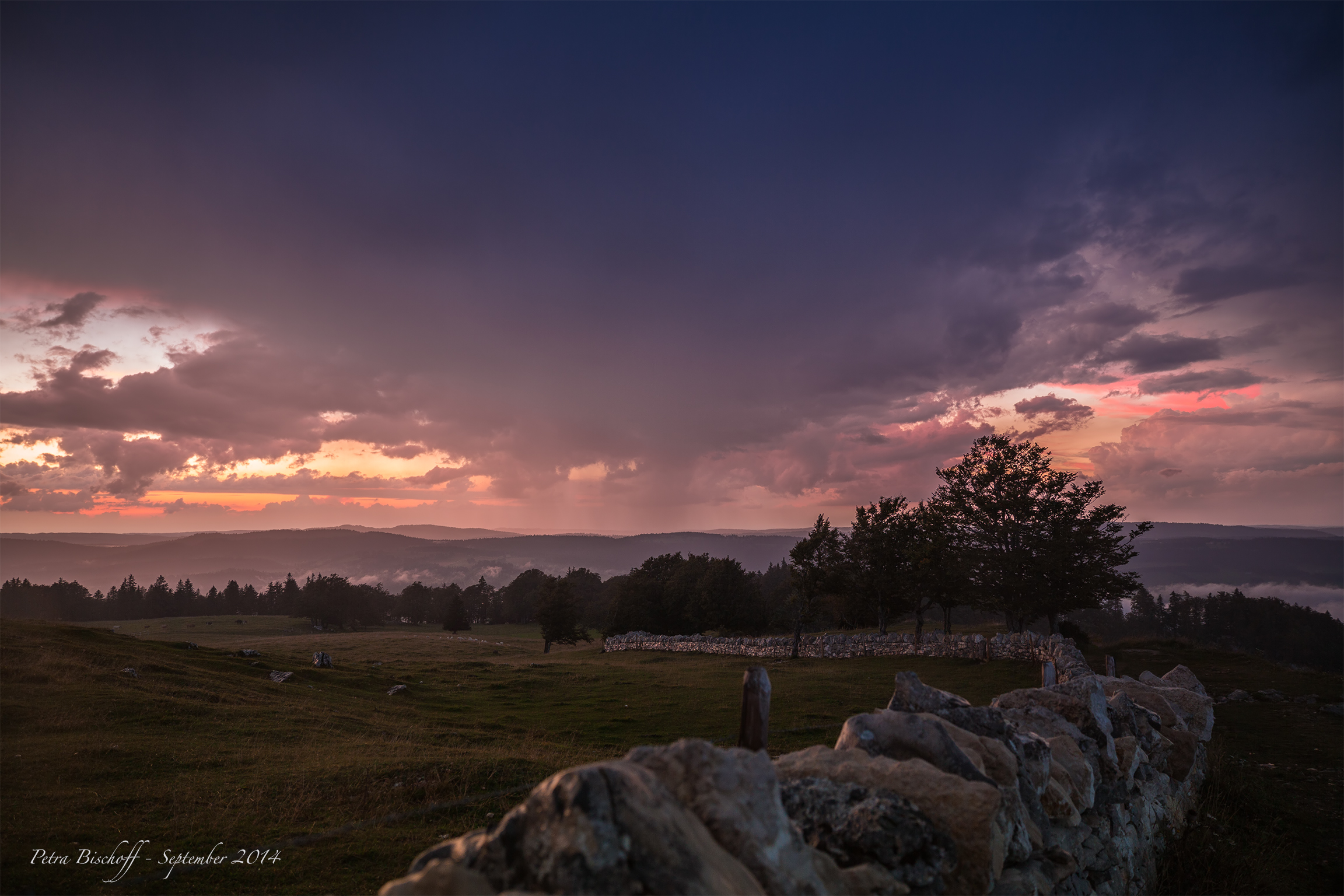 &copy; Petra Bischoff