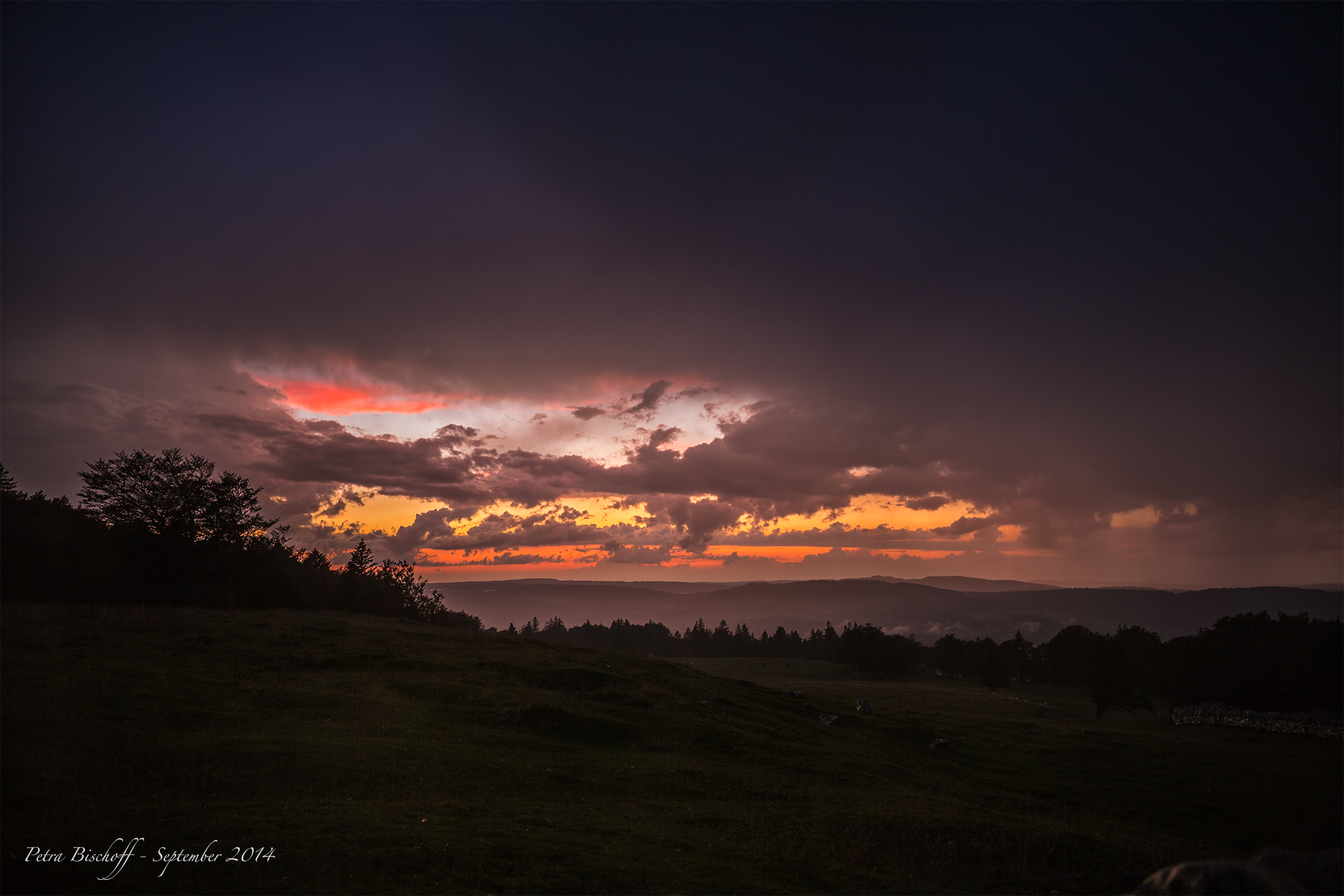 &copy; Petra Bischoff