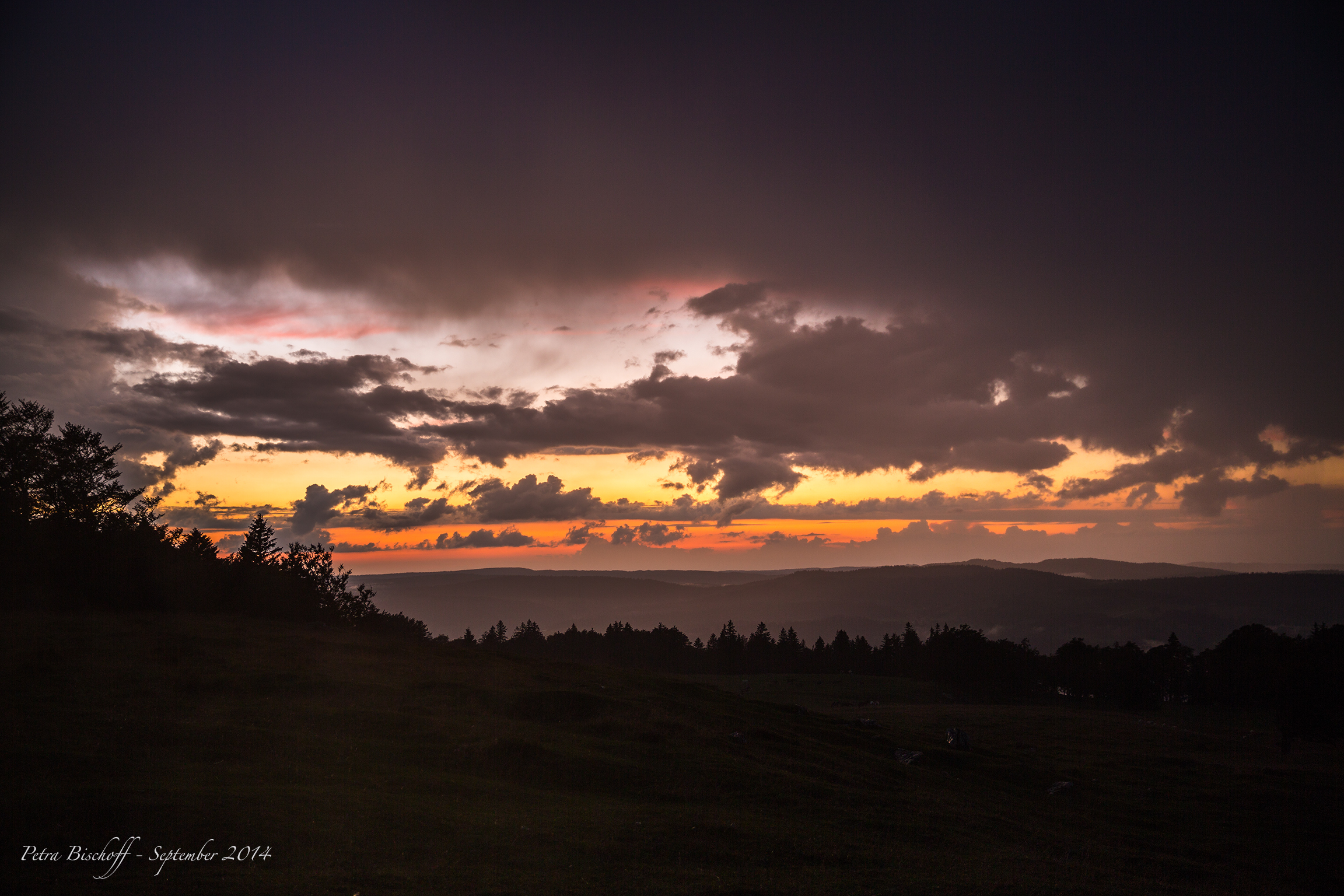 &copy; Petra Bischoff