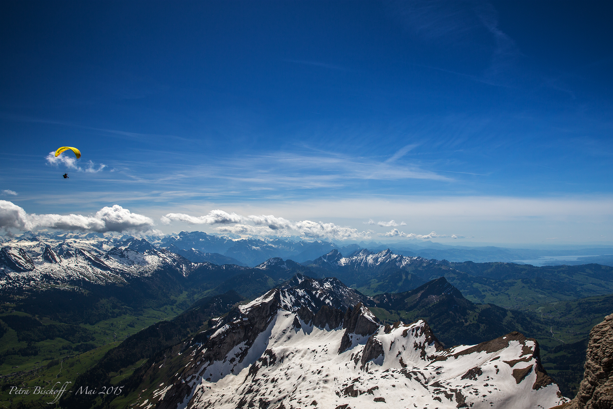 &copy; Petra Bischoff