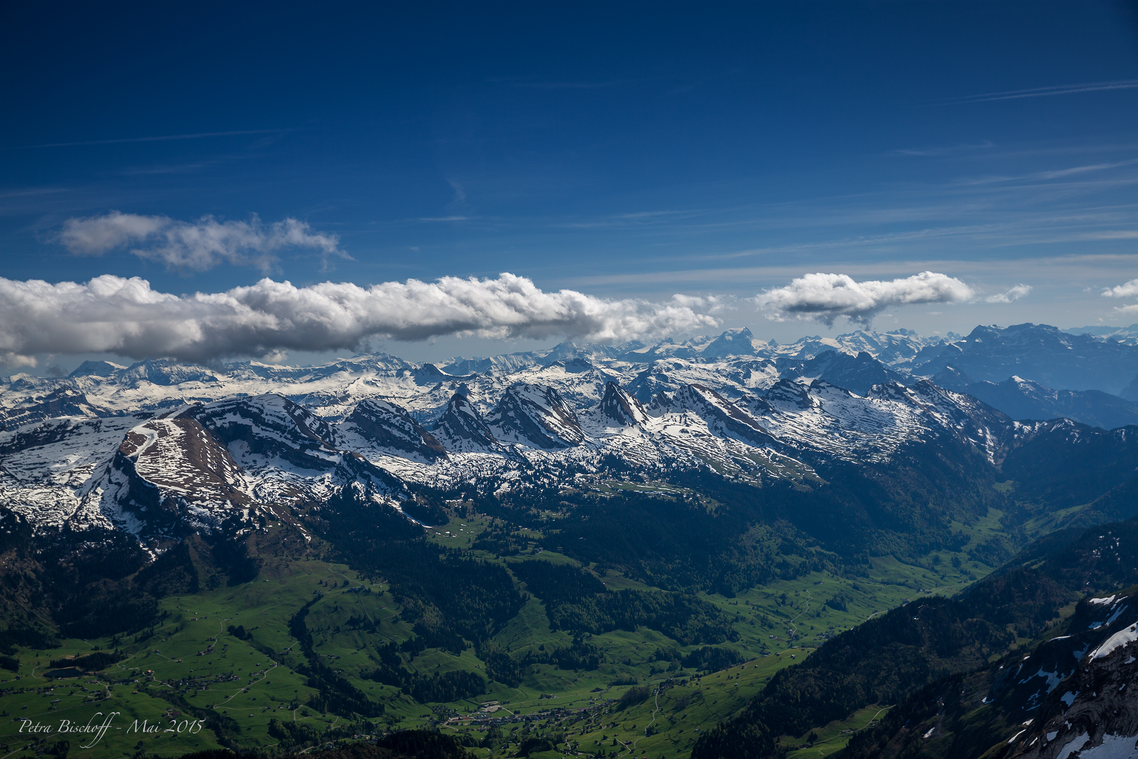 &copy; Petra Bischoff