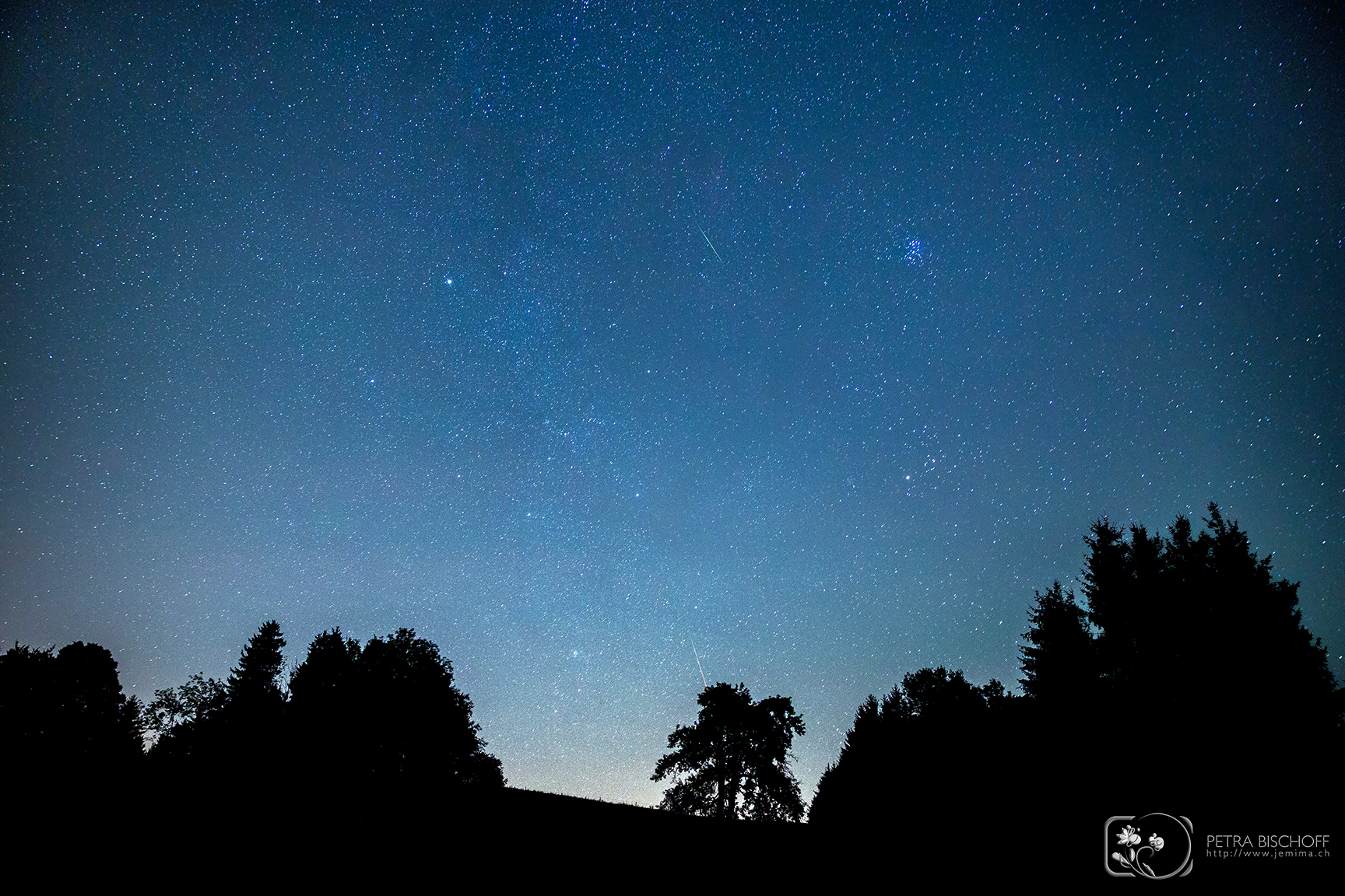 &copy; Petra Bischoff