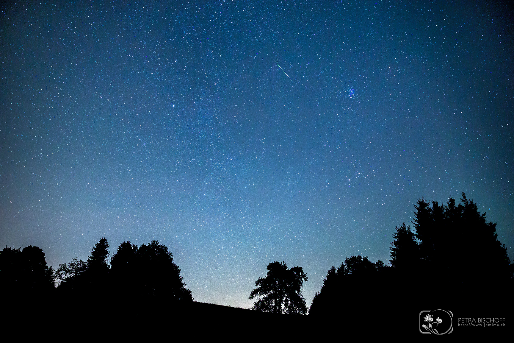 &copy; Petra Bischoff