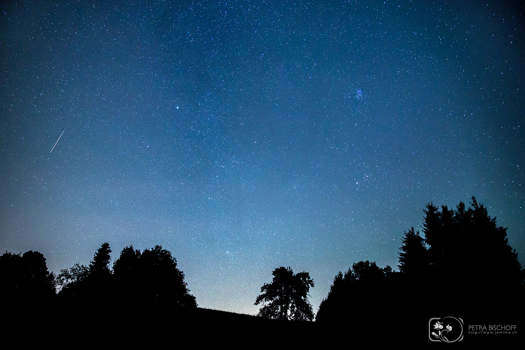 &copy; Petra Bischoff