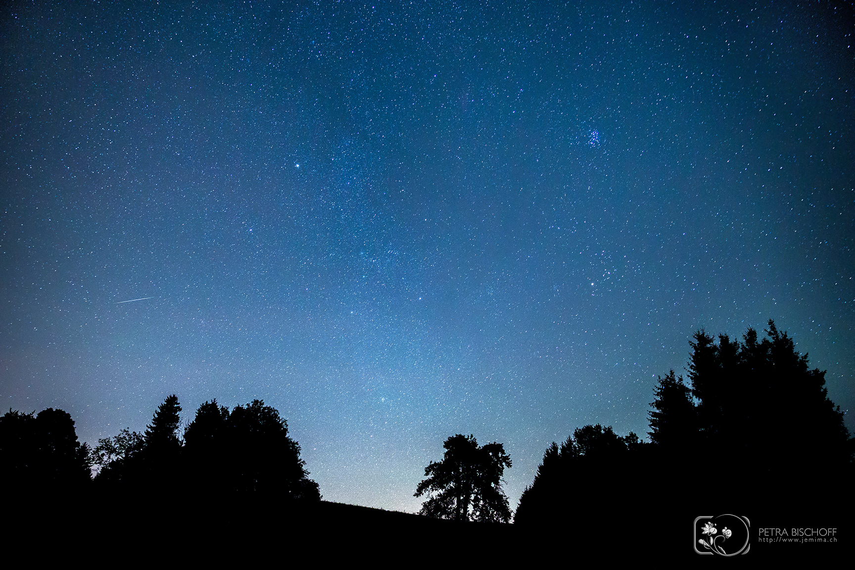 &copy; Petra Bischoff