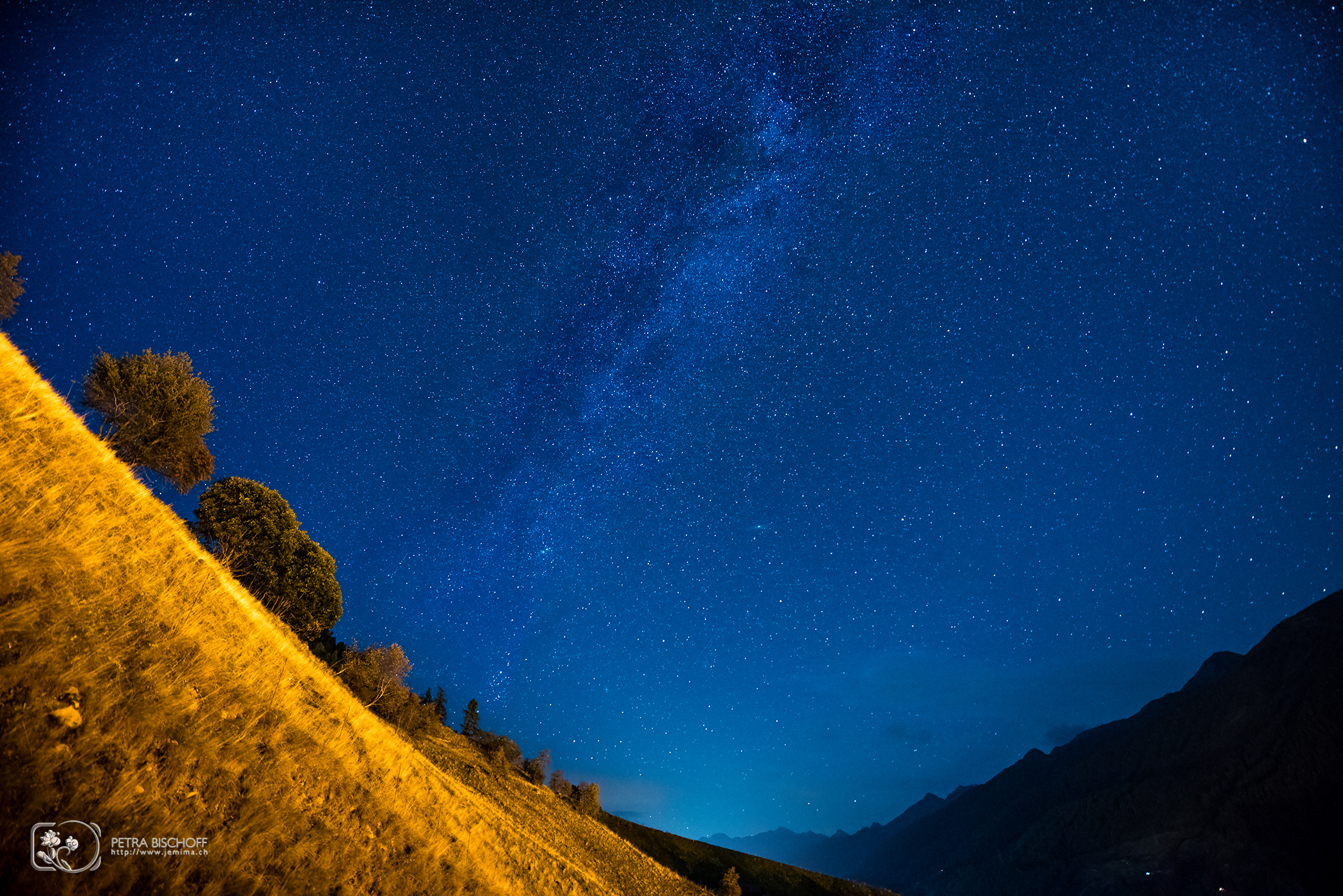 &copy; Petra Bischoff