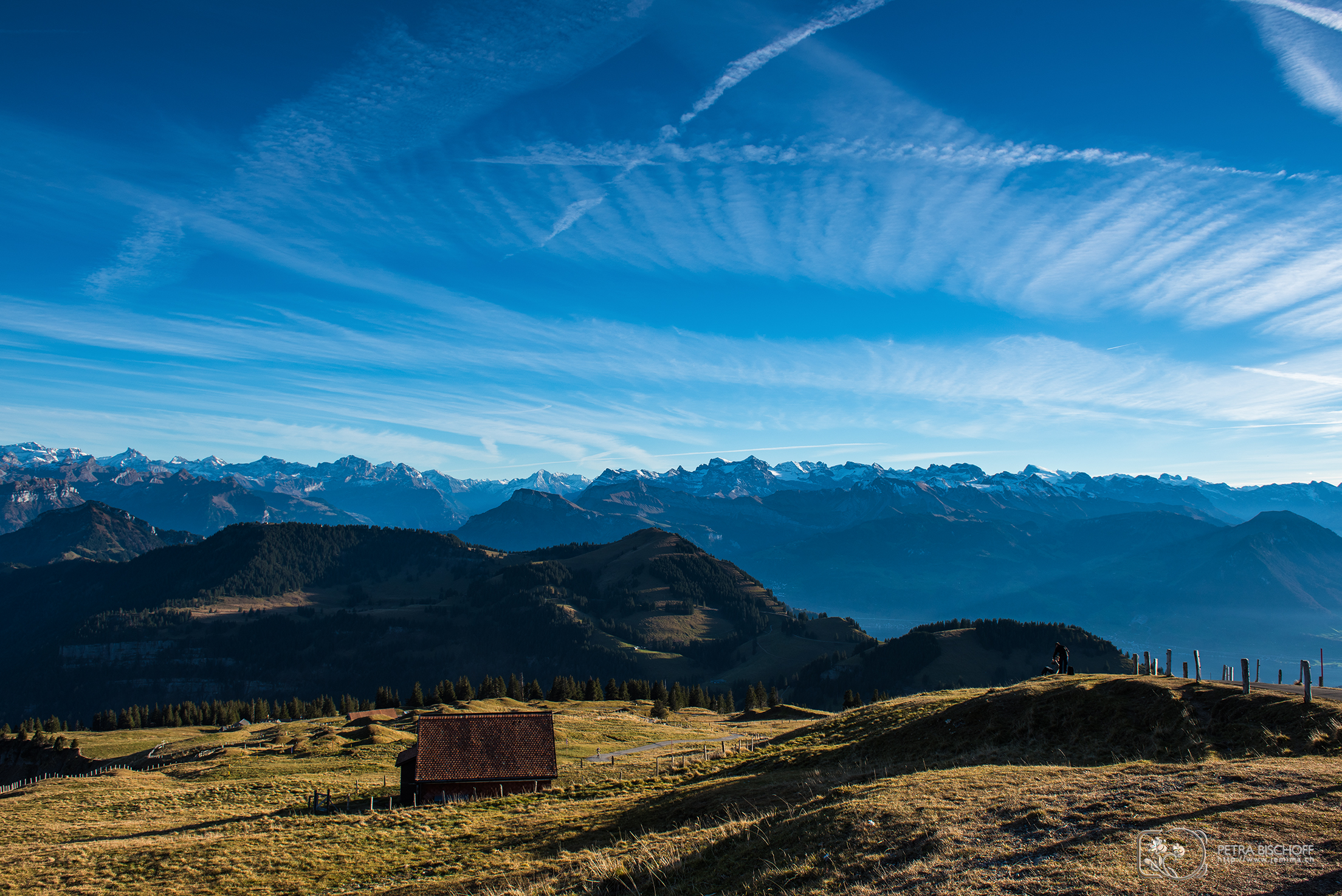 &copy; Petra Bischoff