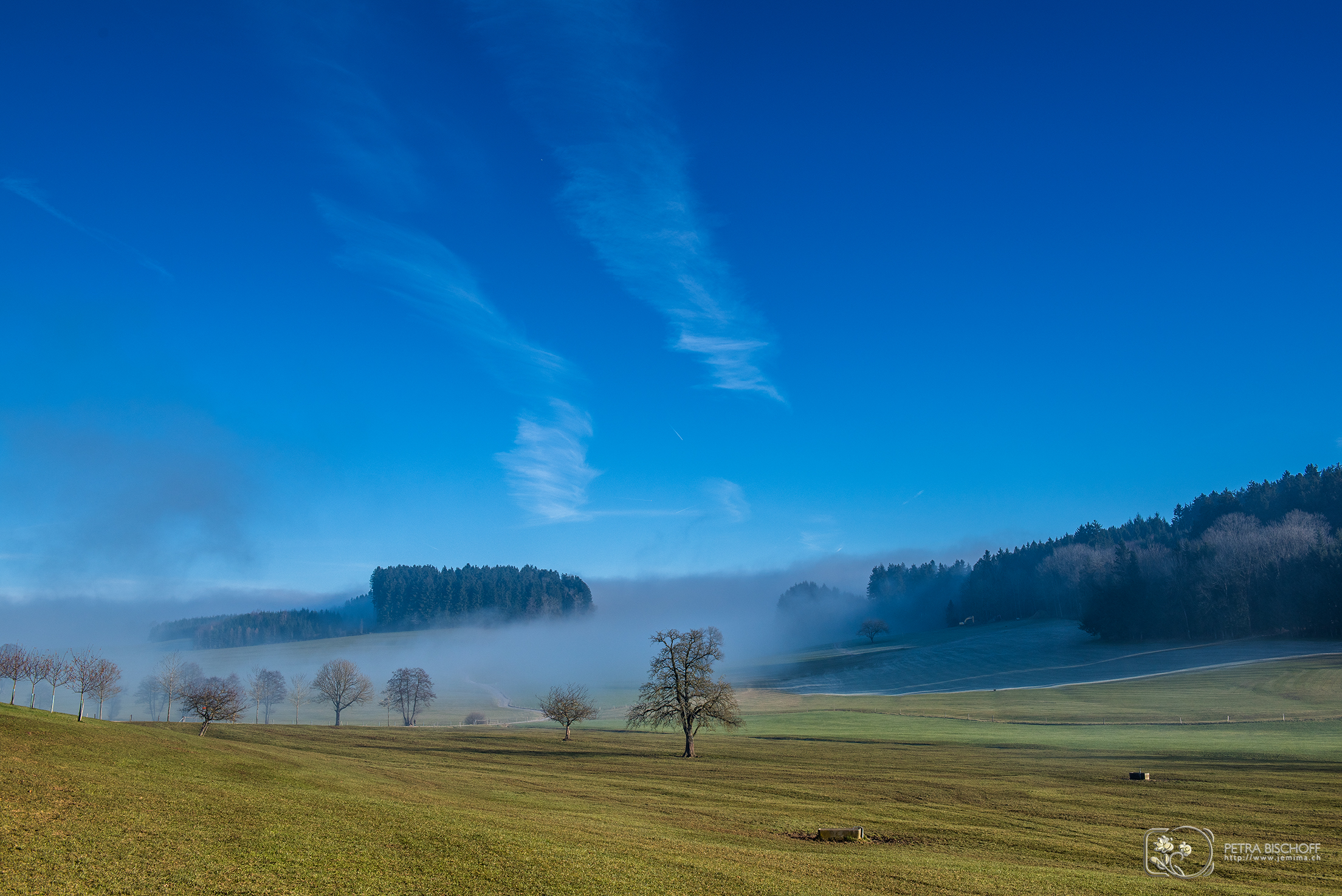 &copy; Petra Bischoff