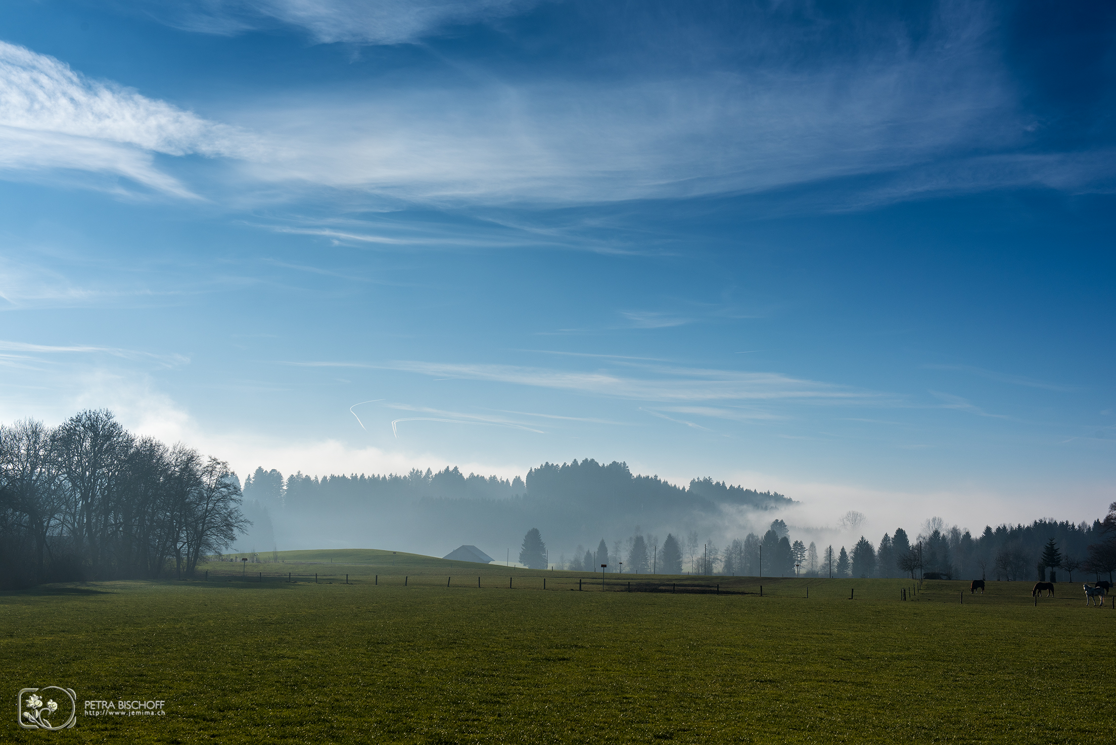 &copy; Petra Bischoff