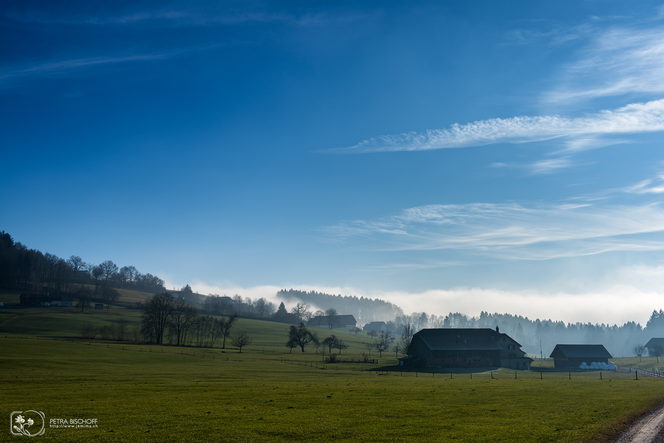 &copy; Petra Bischoff