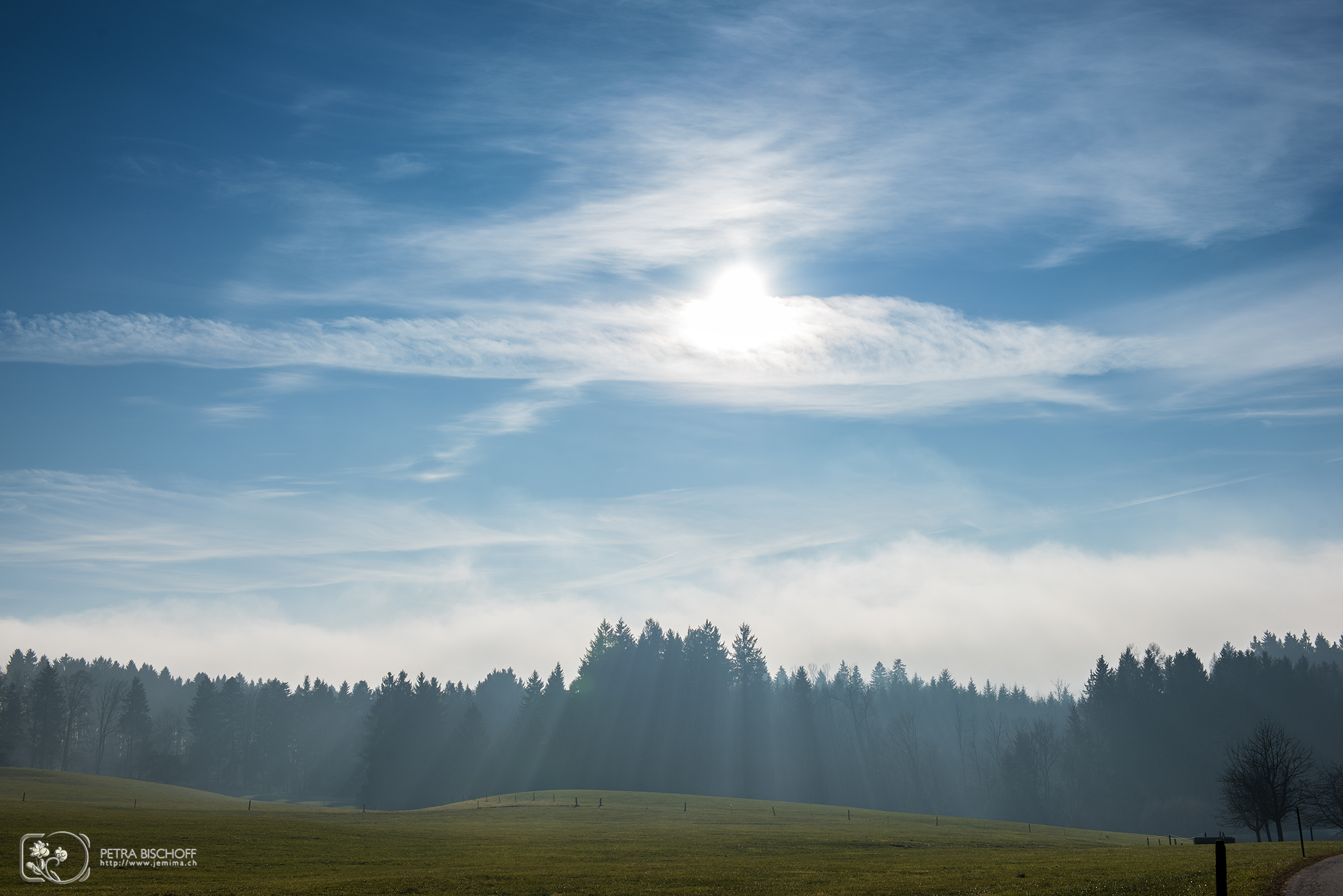 &copy; Petra Bischoff