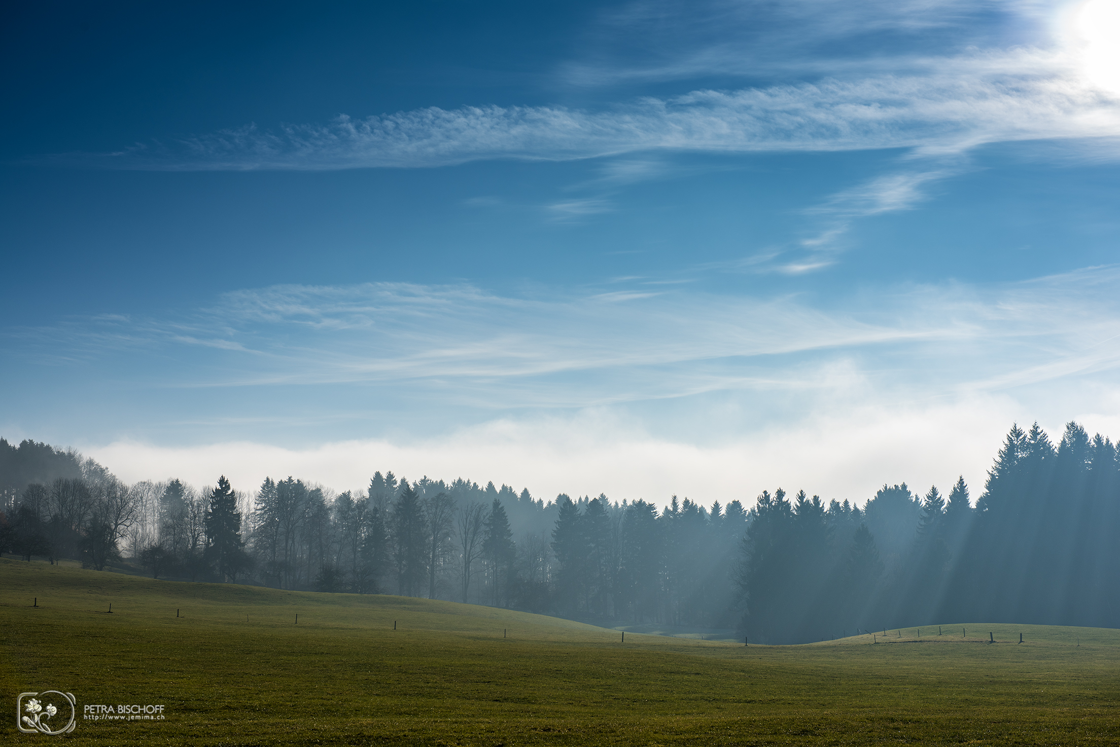 &copy; Petra Bischoff