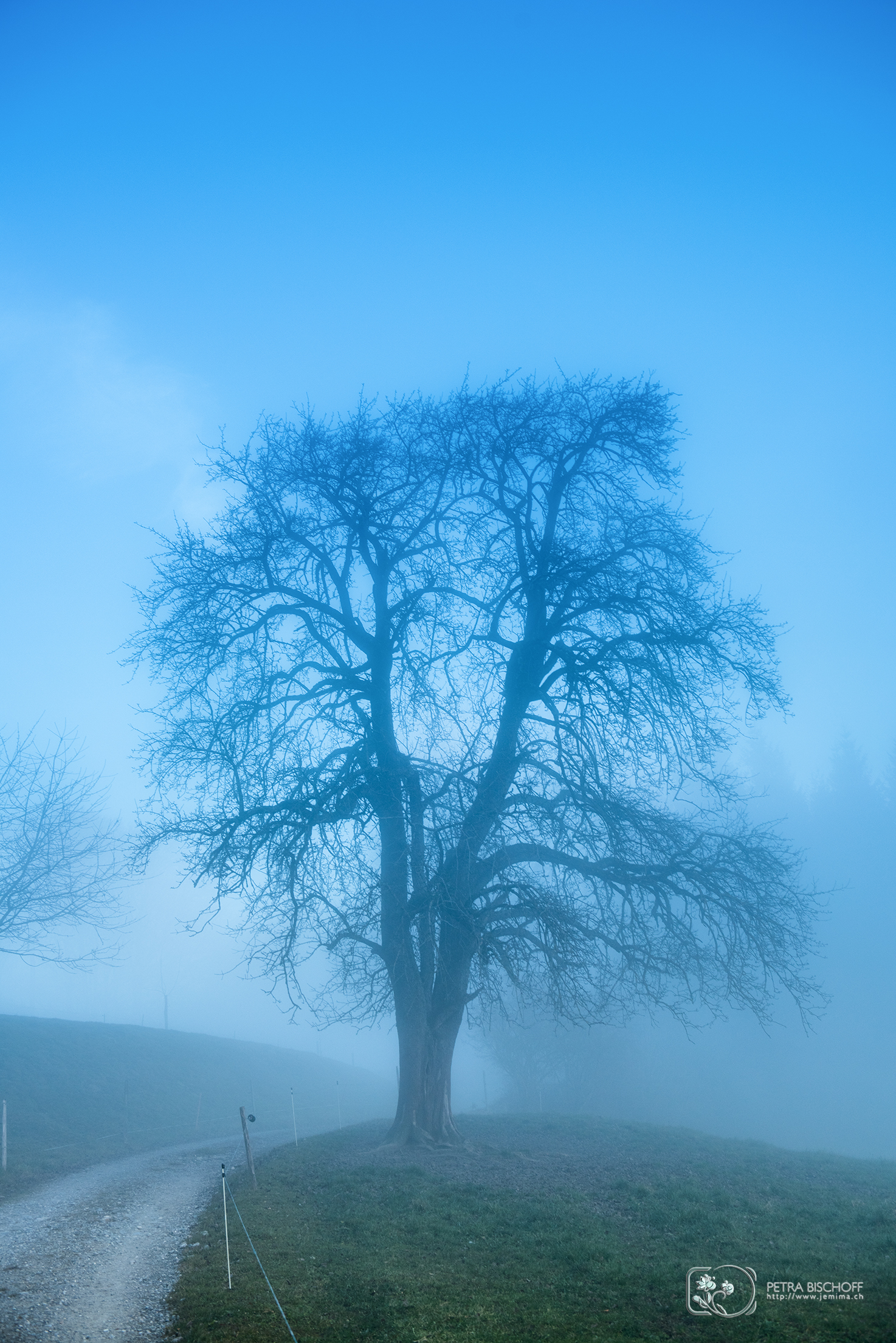 &copy; Petra Bischoff