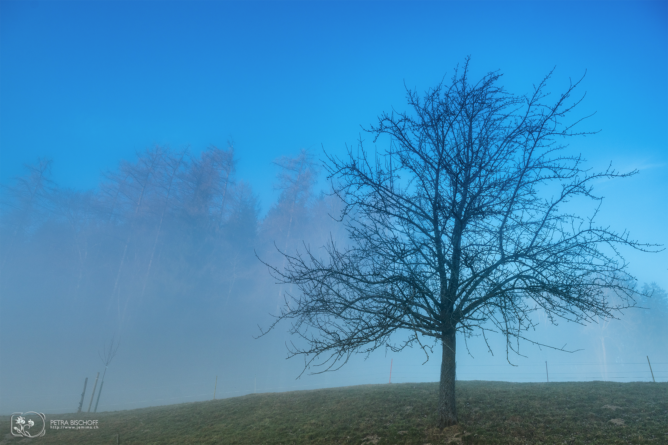 &copy; Petra Bischoff