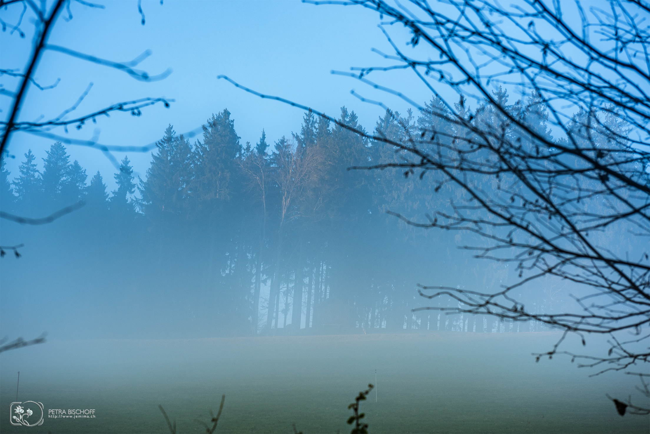 &copy; Petra Bischoff