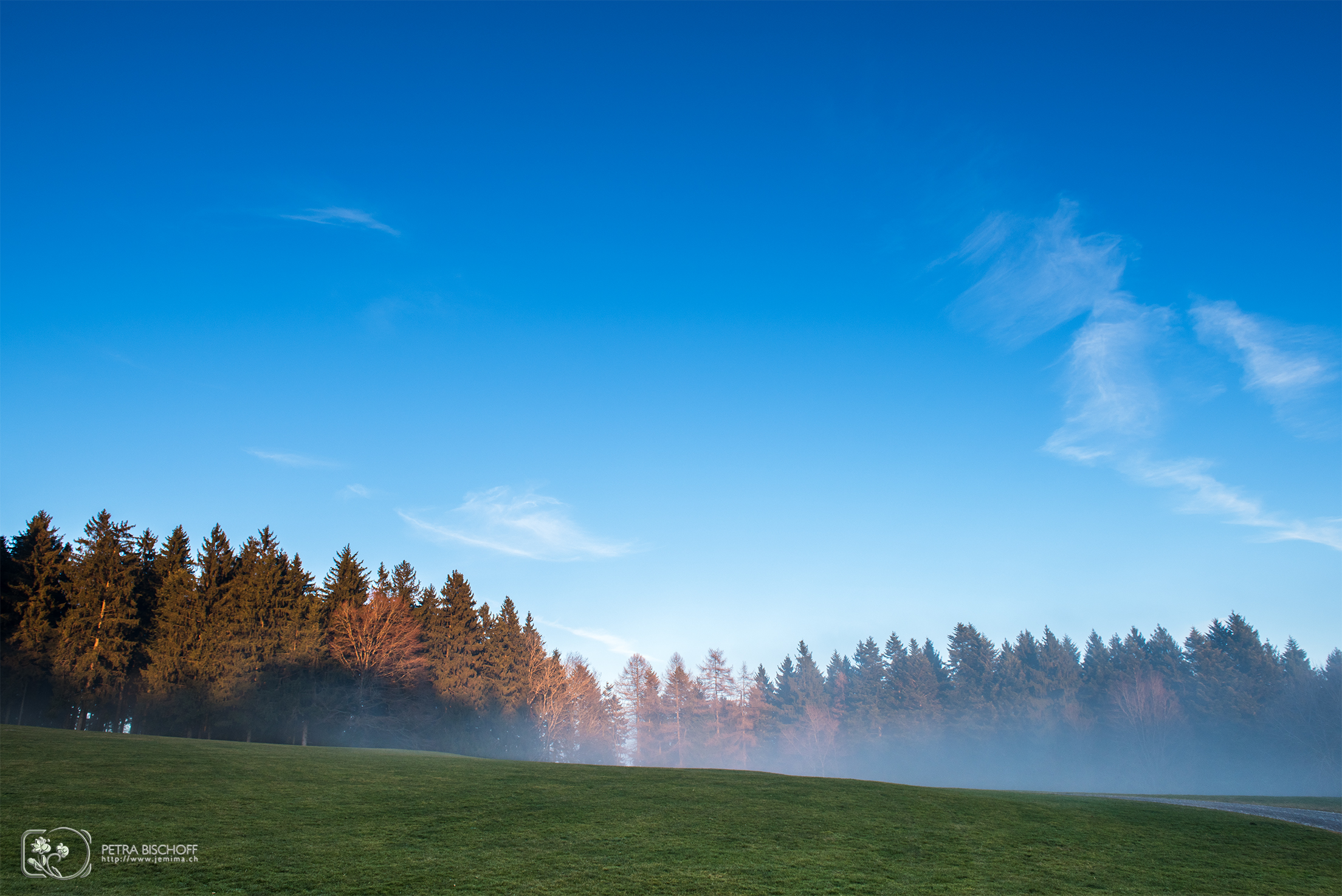 &copy; Petra Bischoff