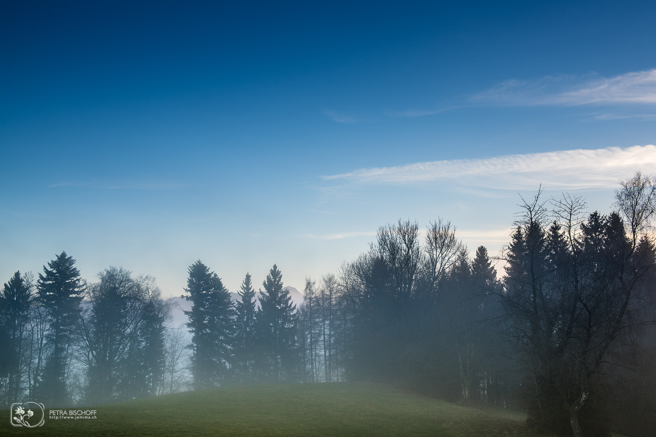 &copy; Petra Bischoff