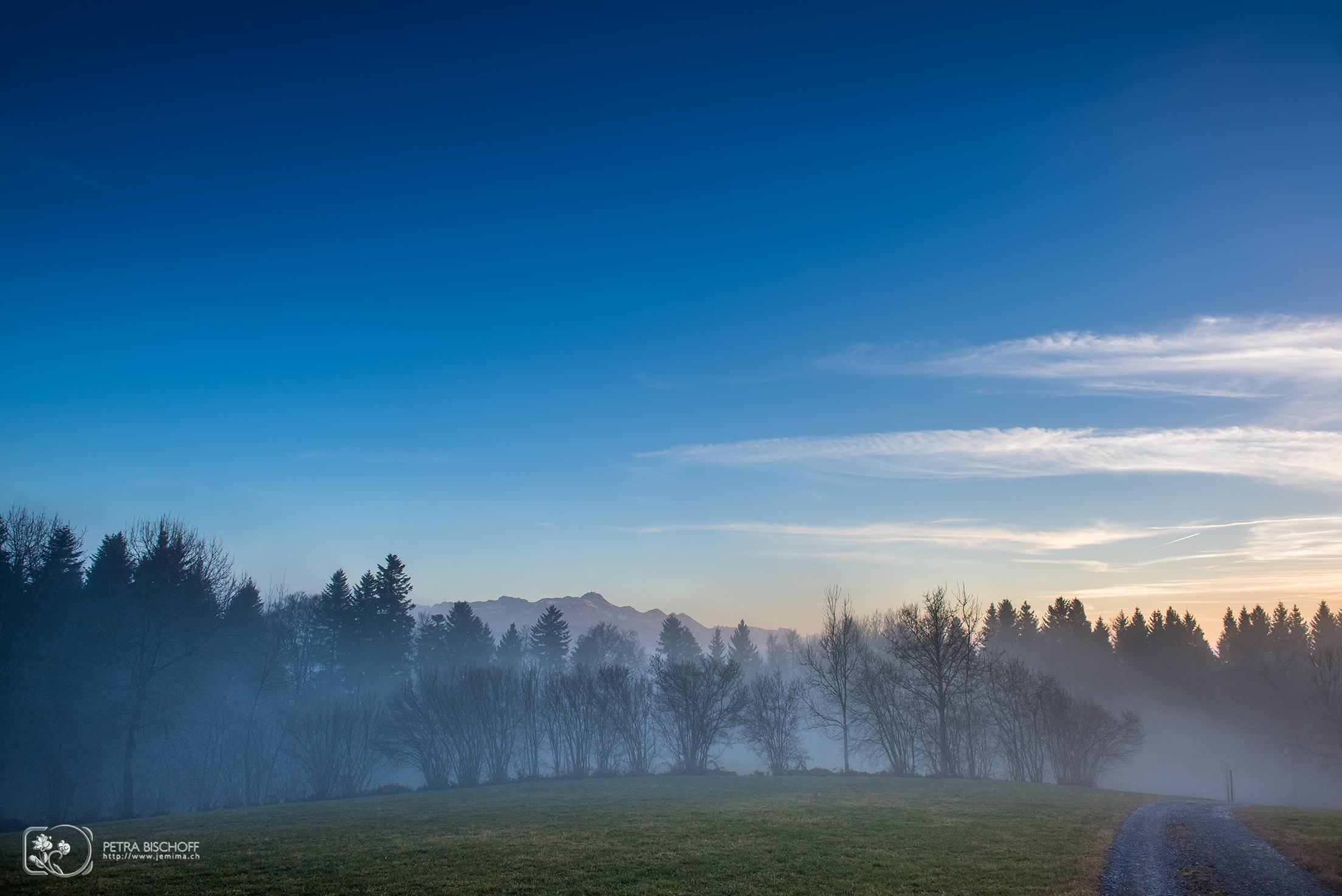 &copy; Petra Bischoff