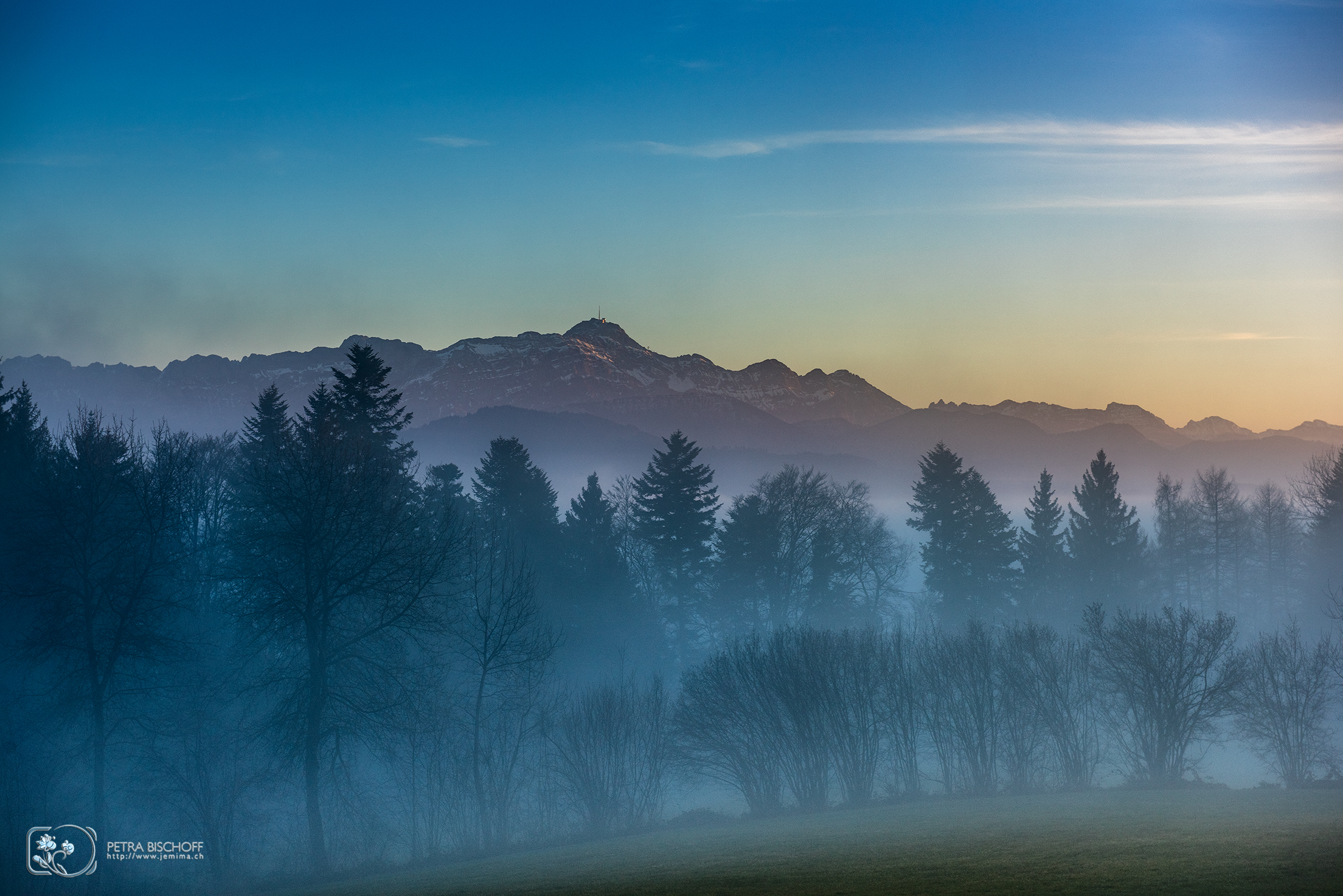 &copy; Petra Bischoff