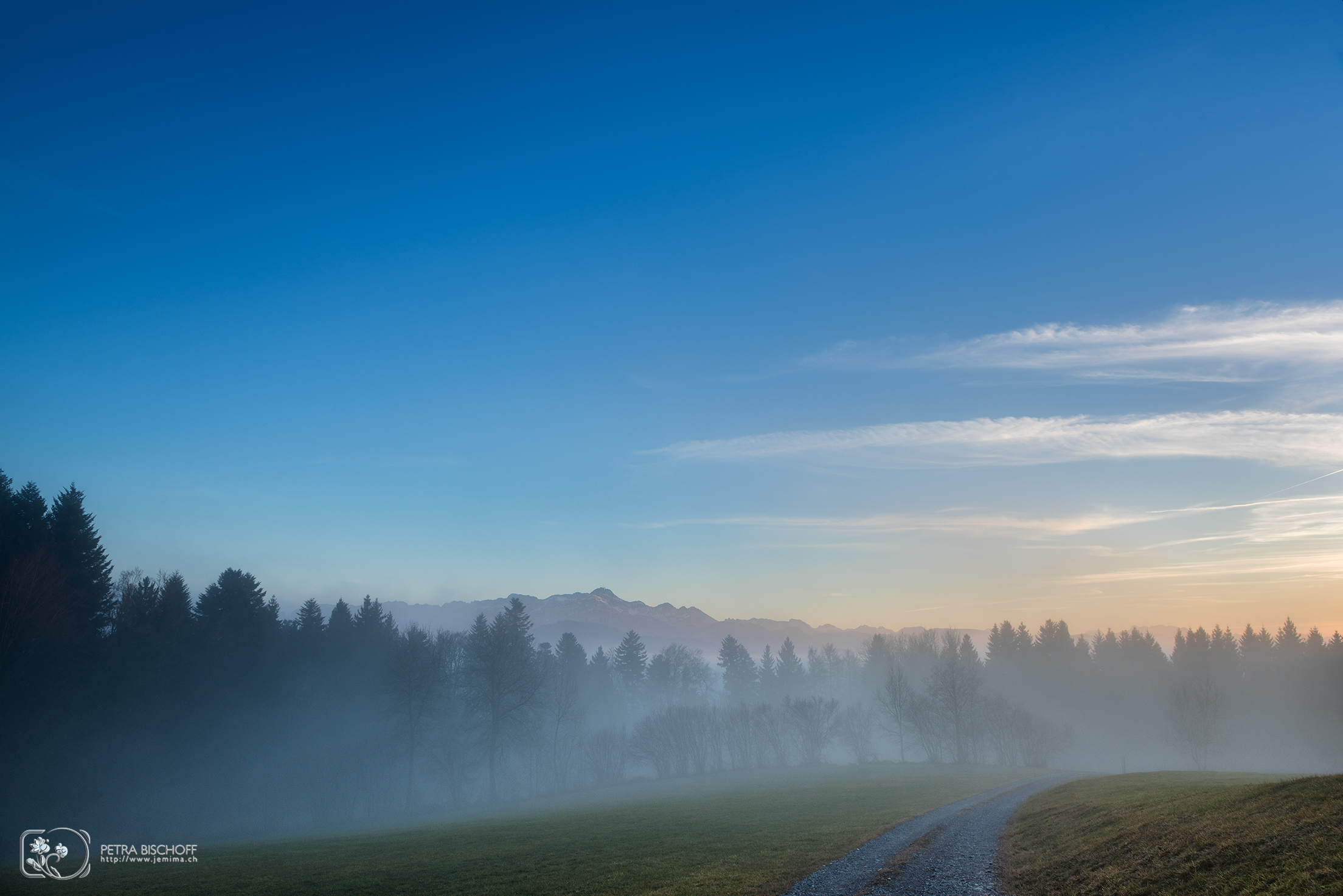 &copy; Petra Bischoff