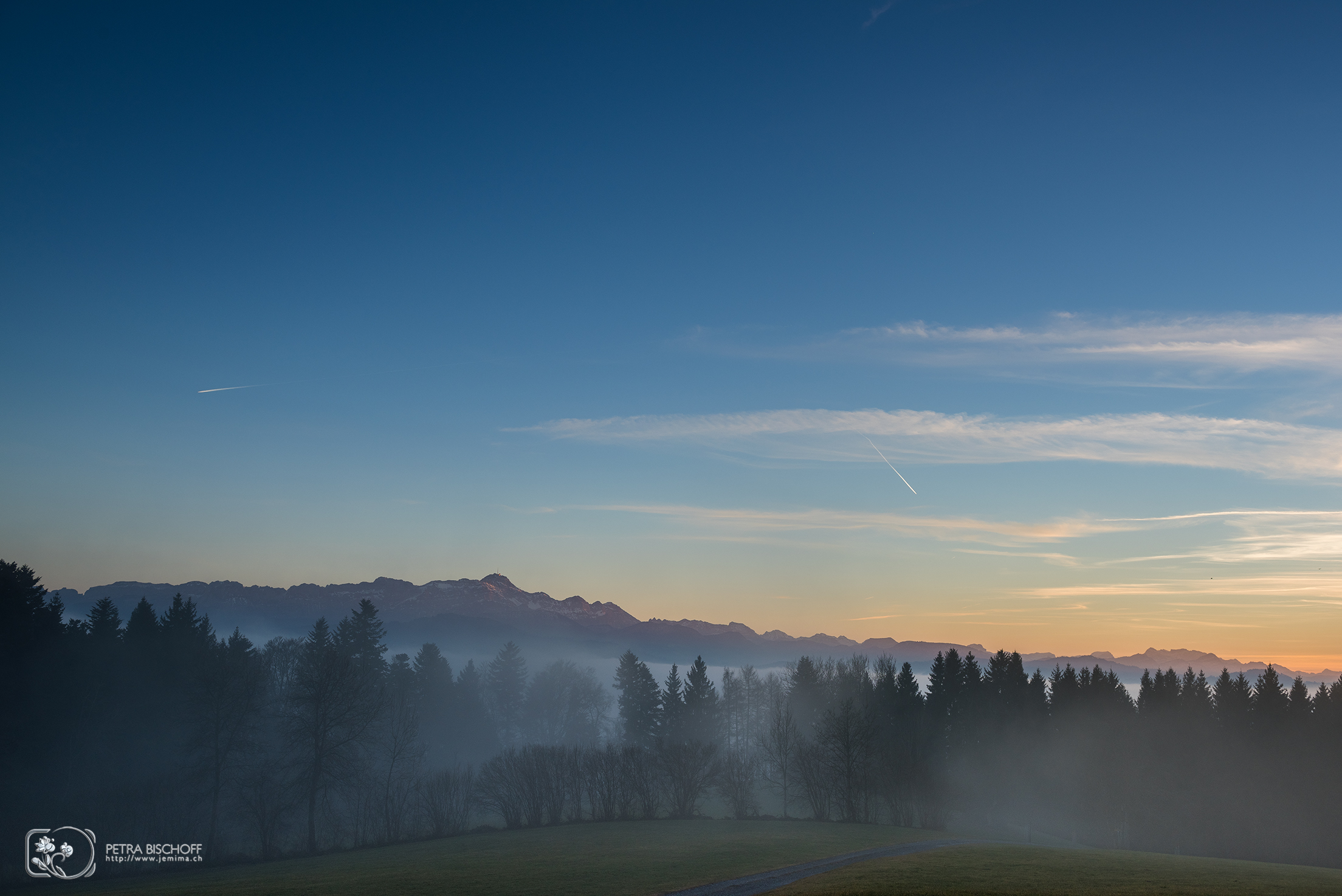 &copy; Petra Bischoff