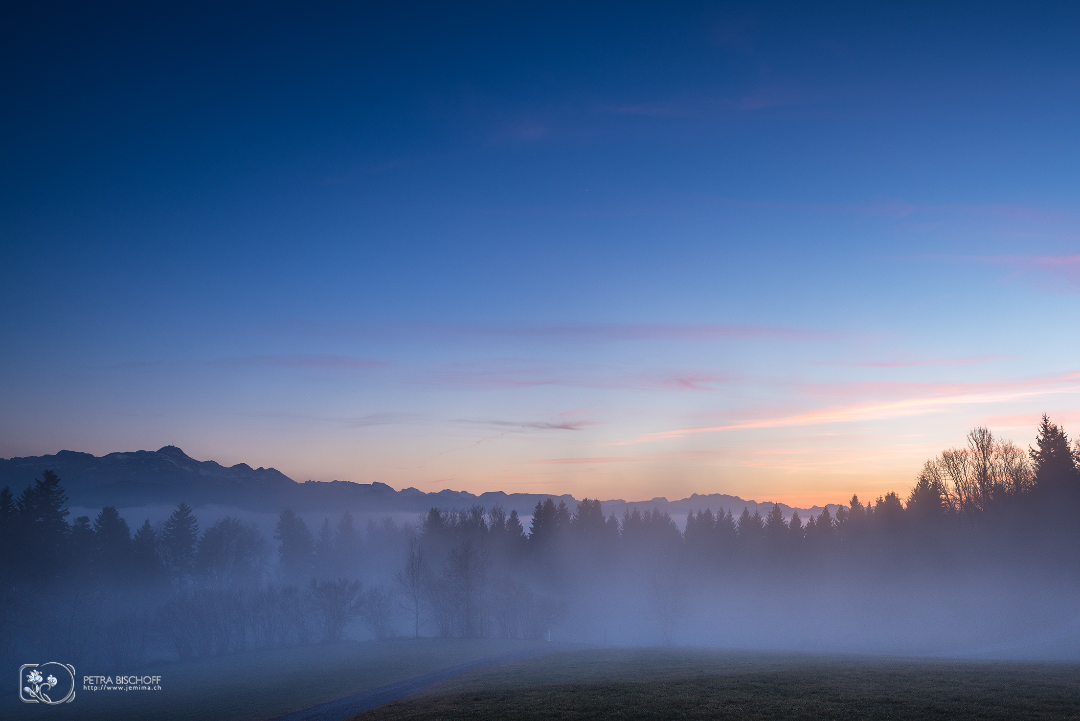 &copy; Petra Bischoff