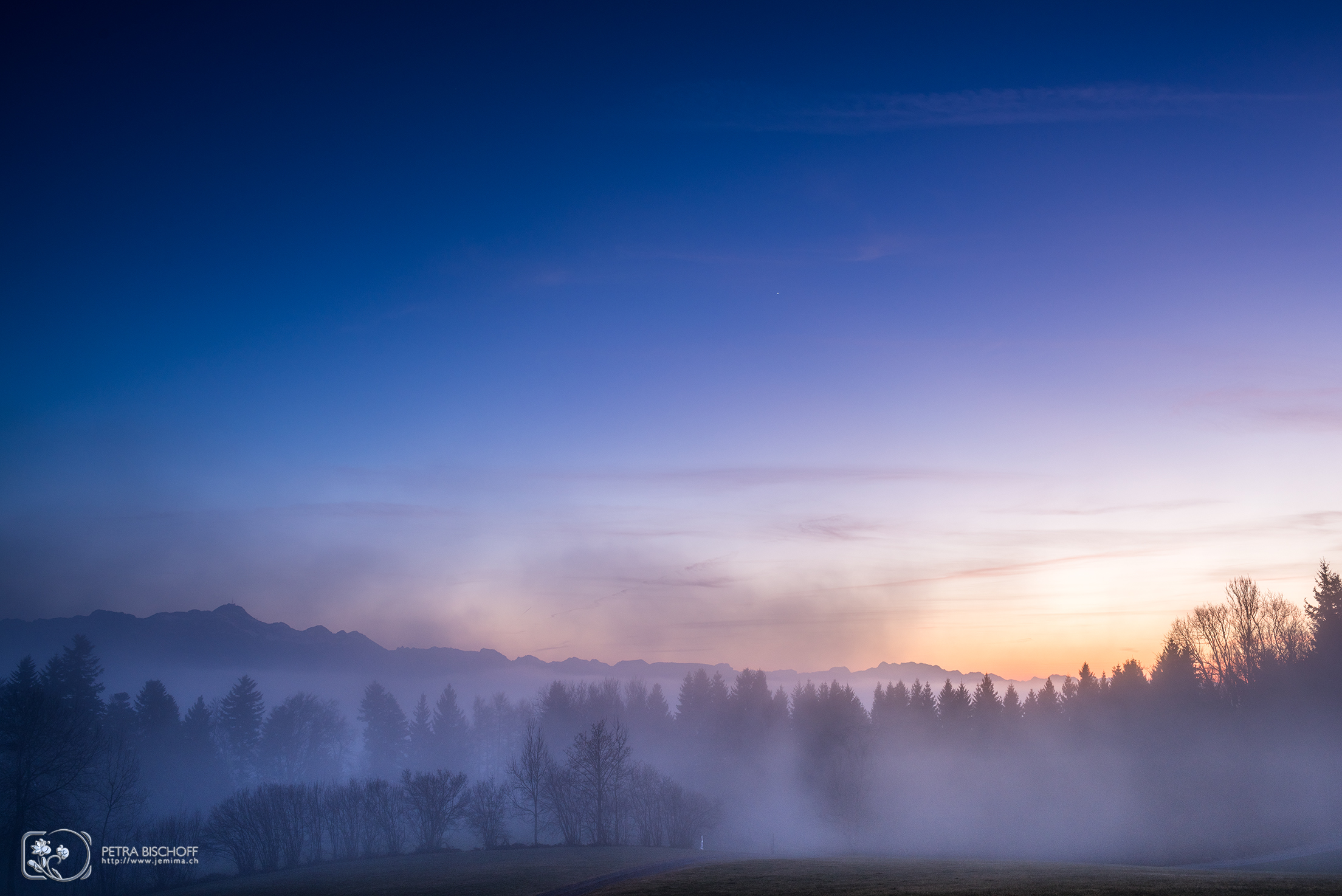 &copy; Petra Bischoff