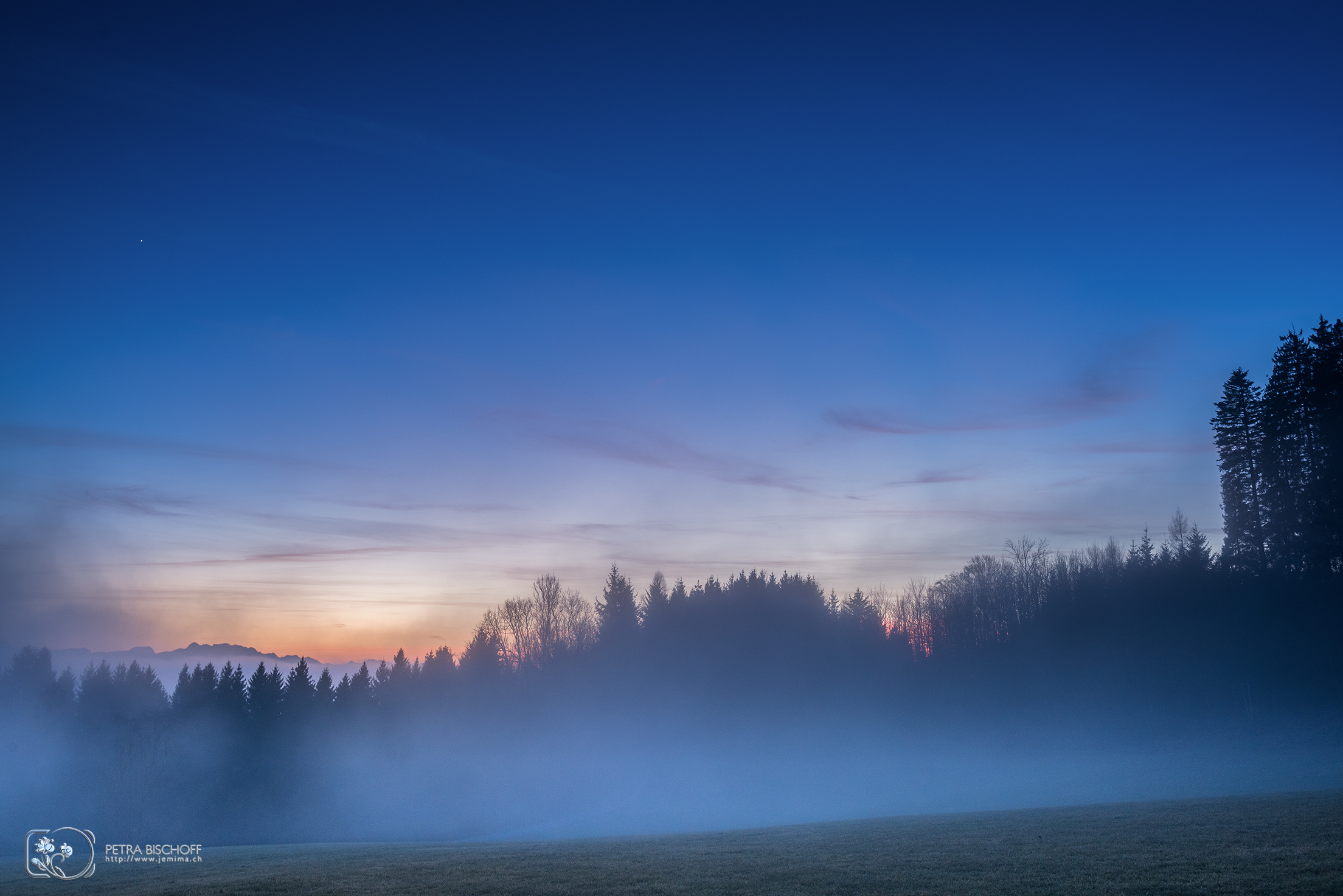 &copy; Petra Bischoff