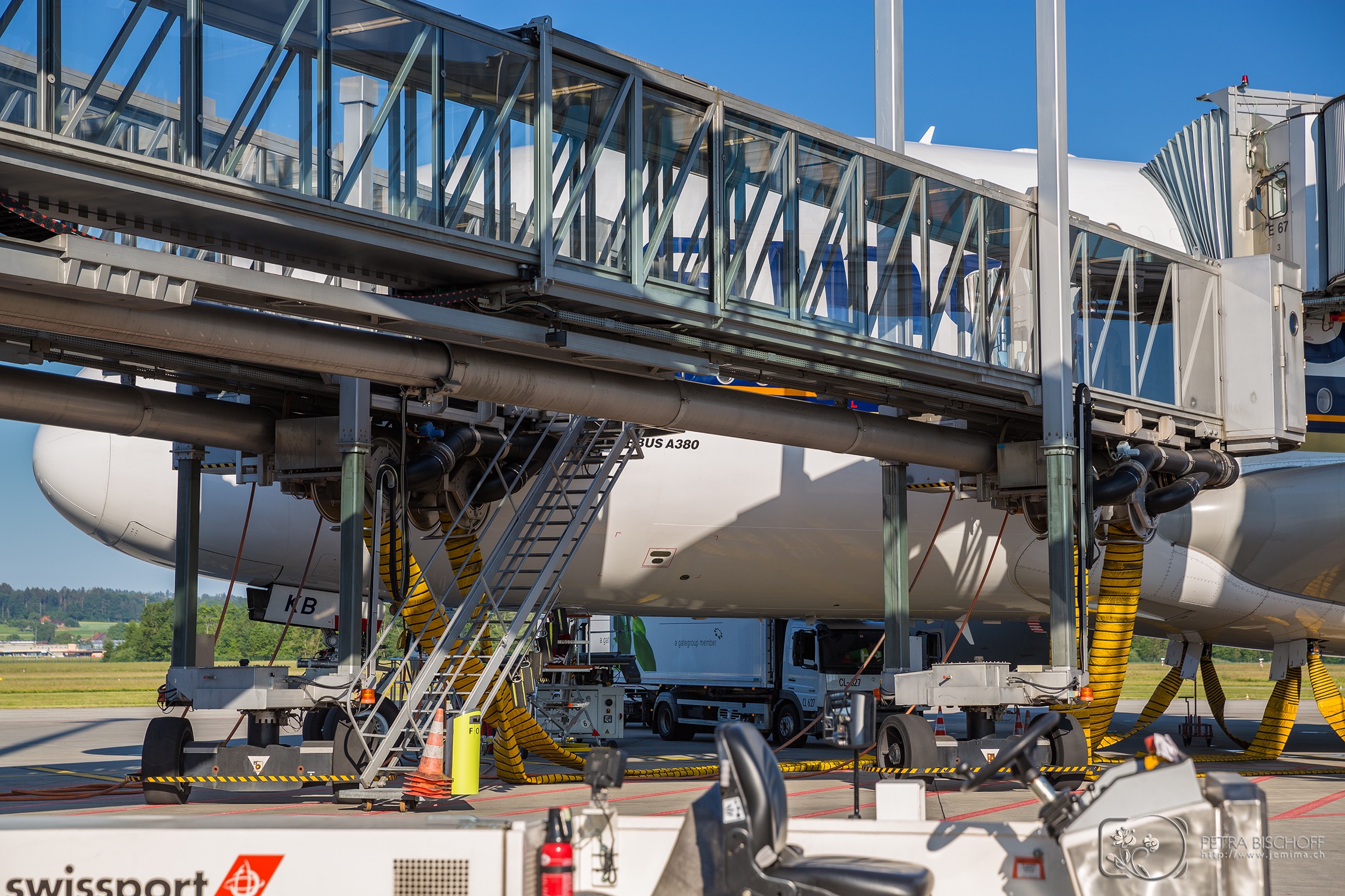 &copy; Petra Bischoff