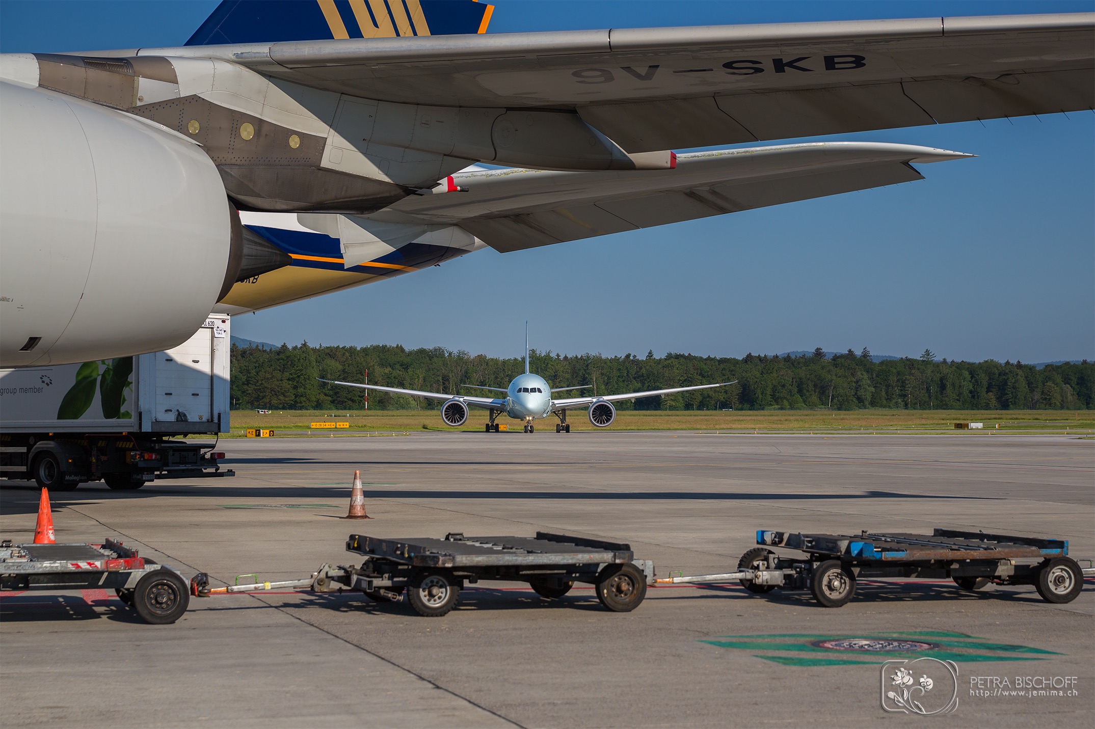 &copy; Petra Bischoff